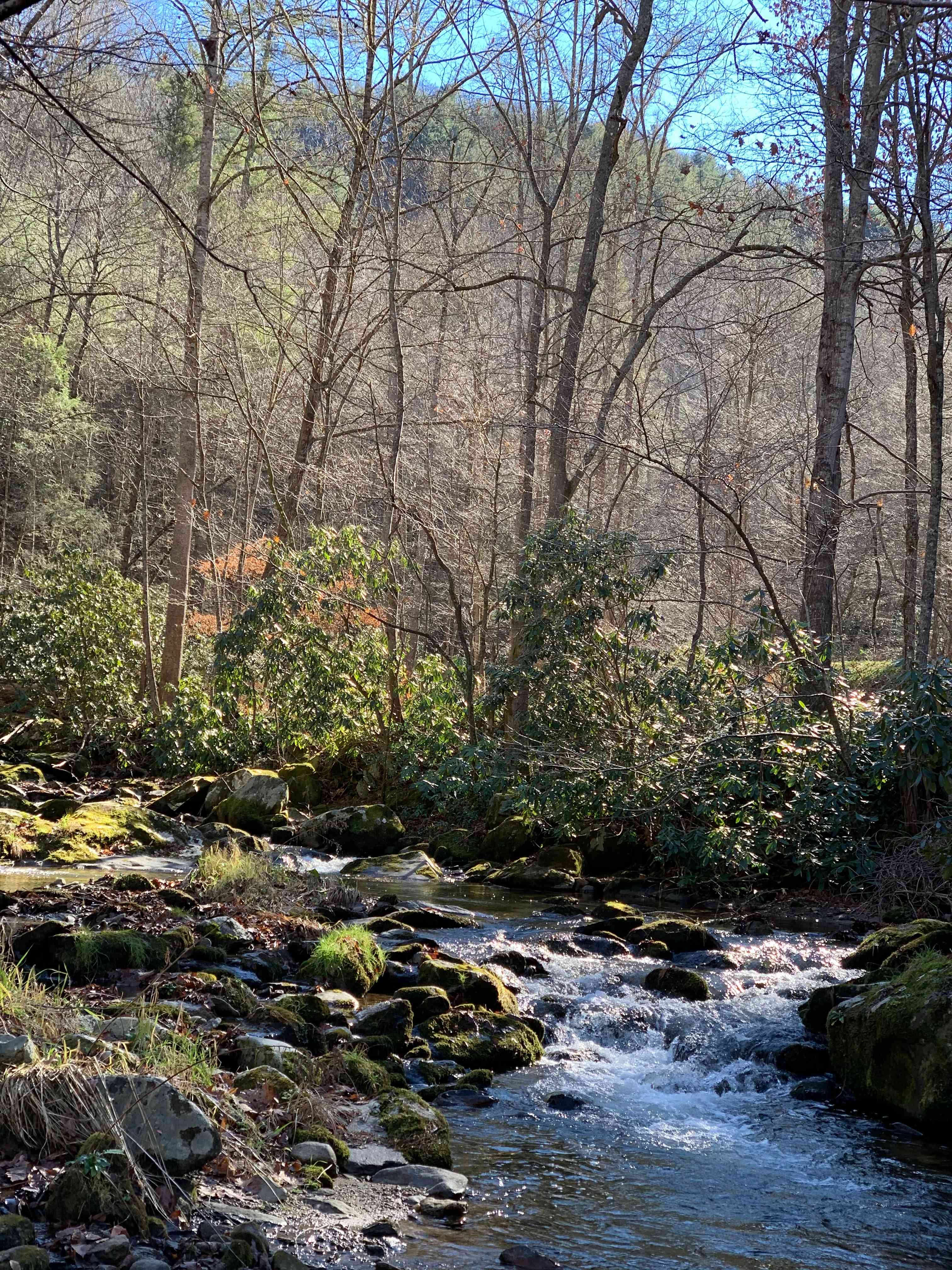 Creek side