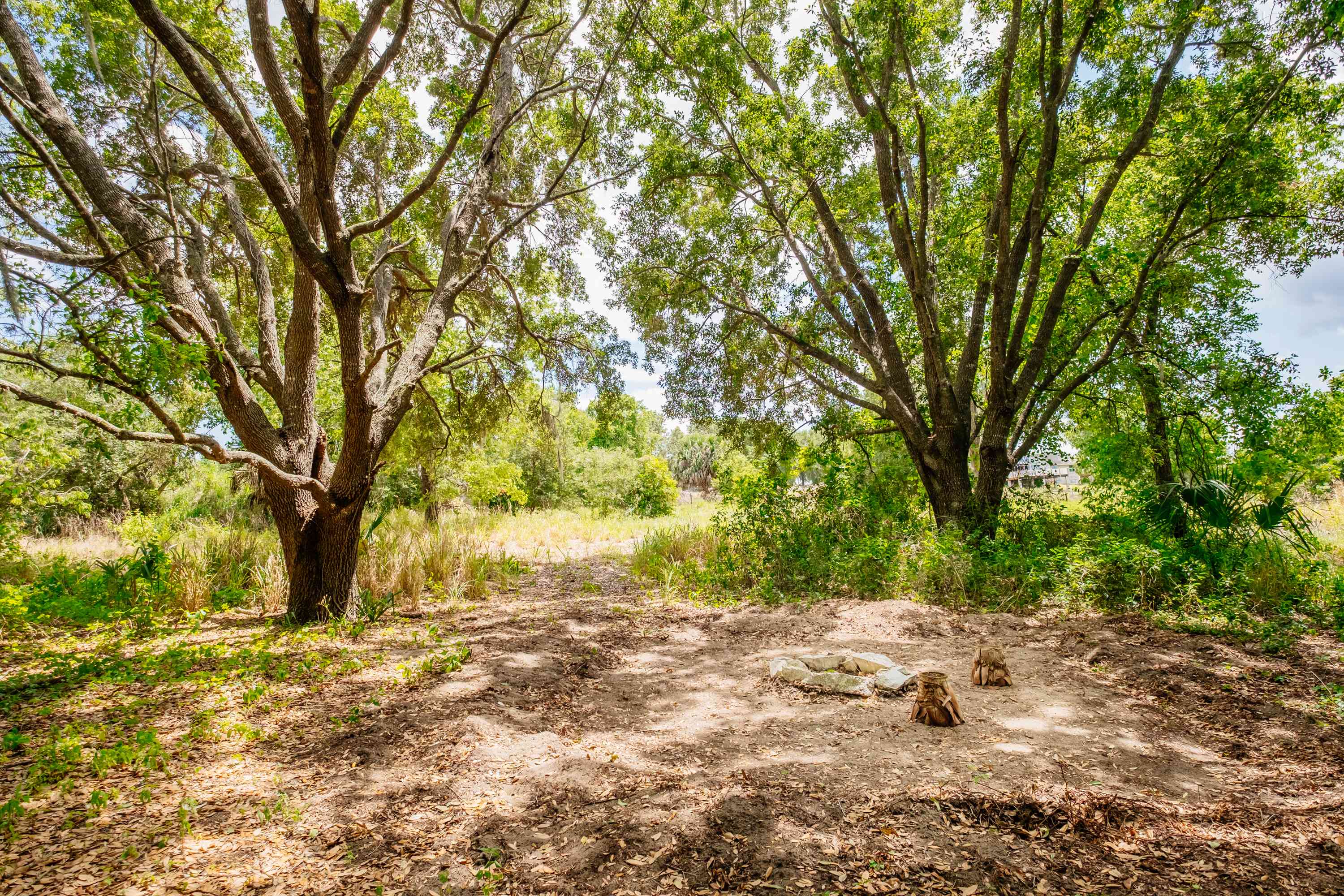 another campsite