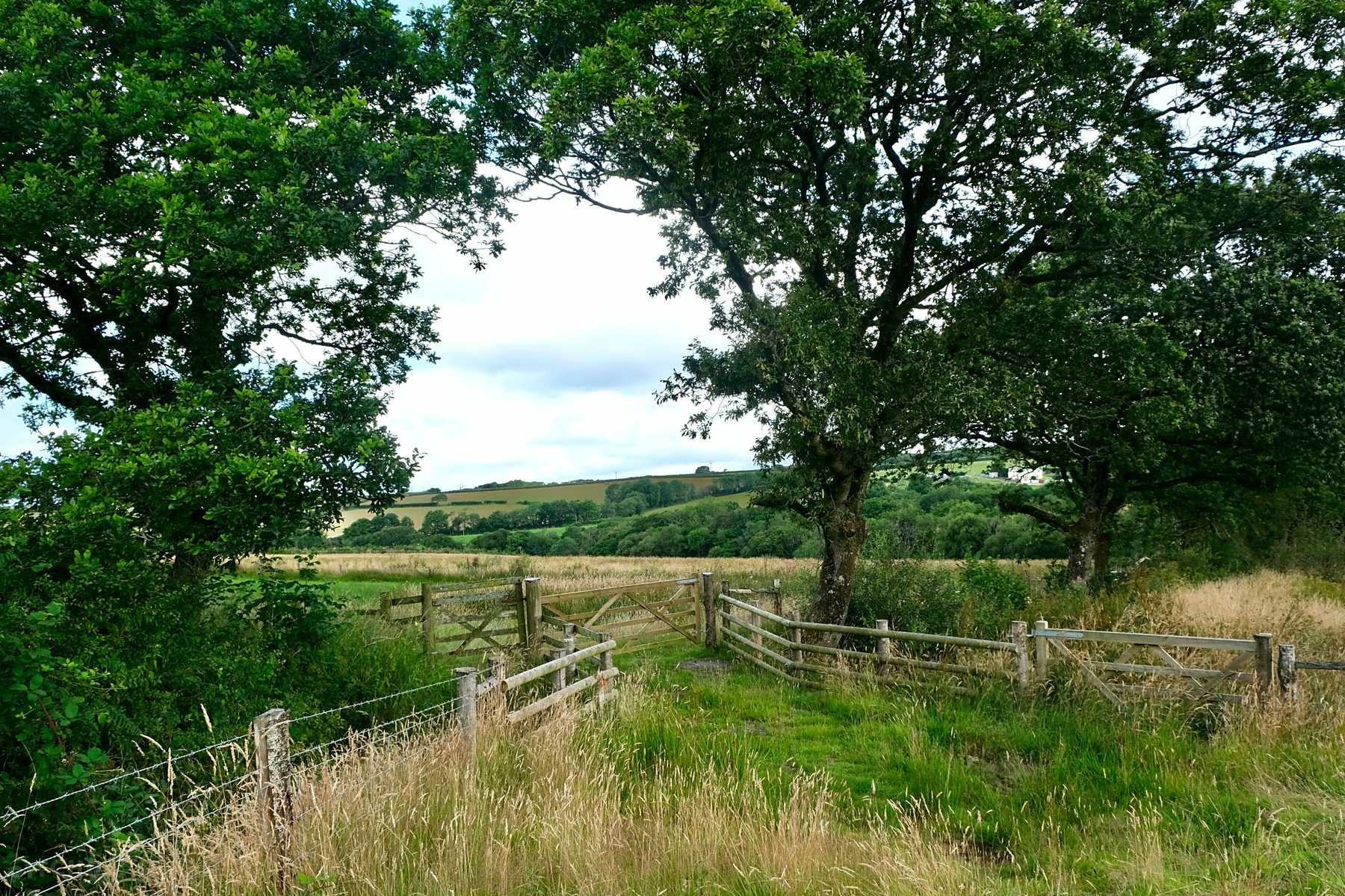 Milkmaid Meadow Campsite