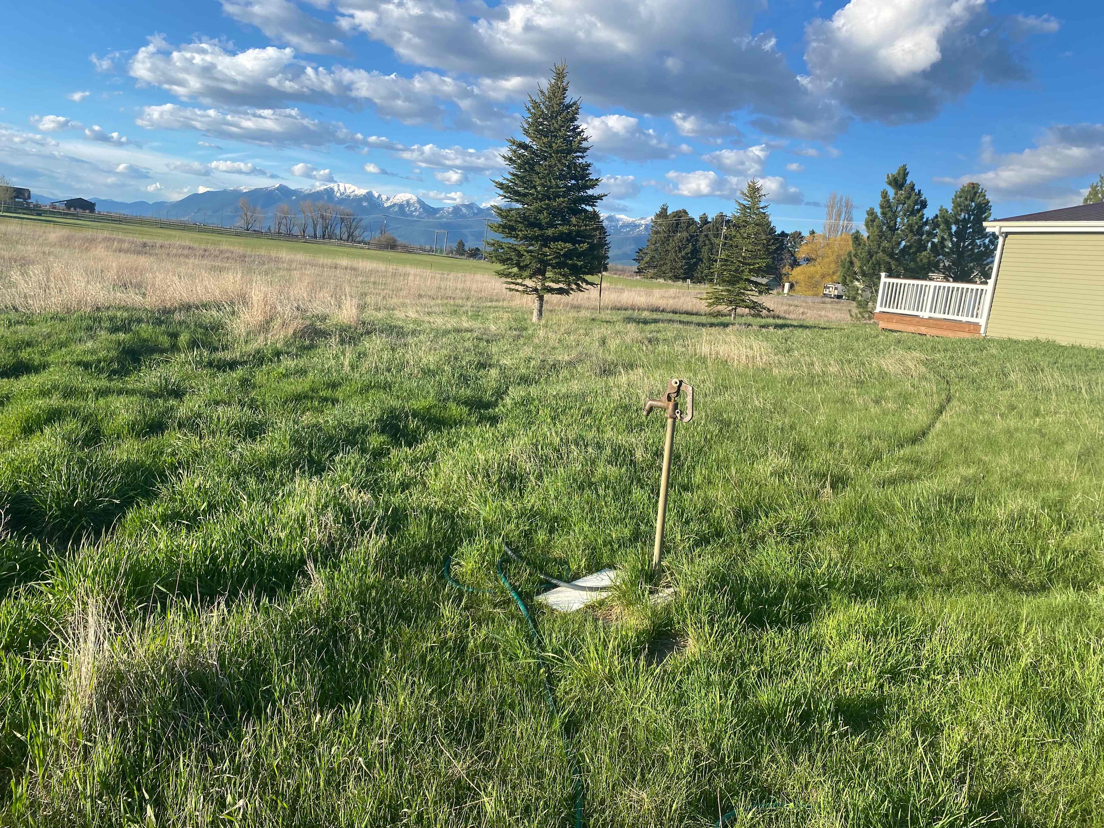 Pasture with views!
