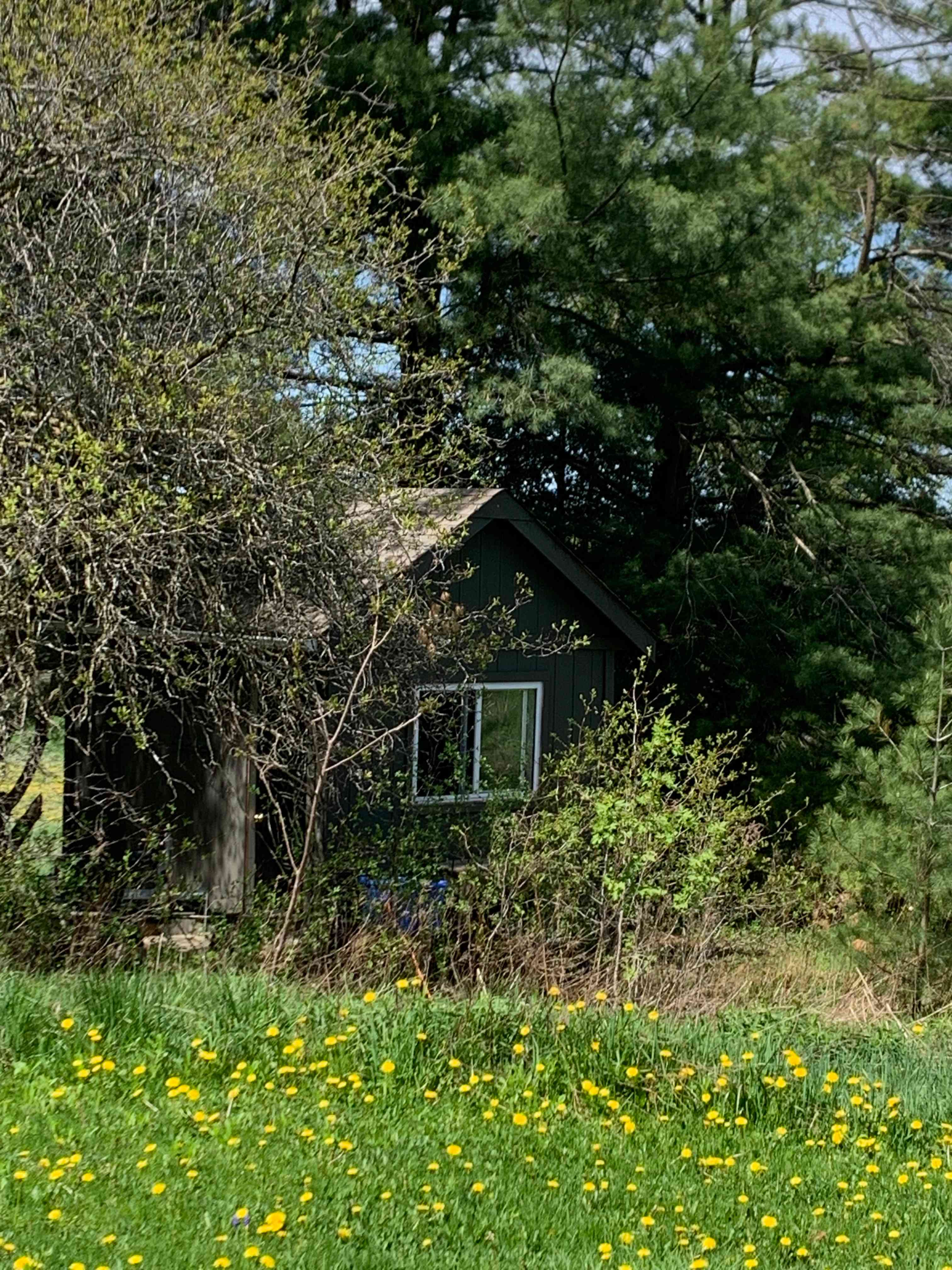 Welcome to the Bruce Trail Bunkie