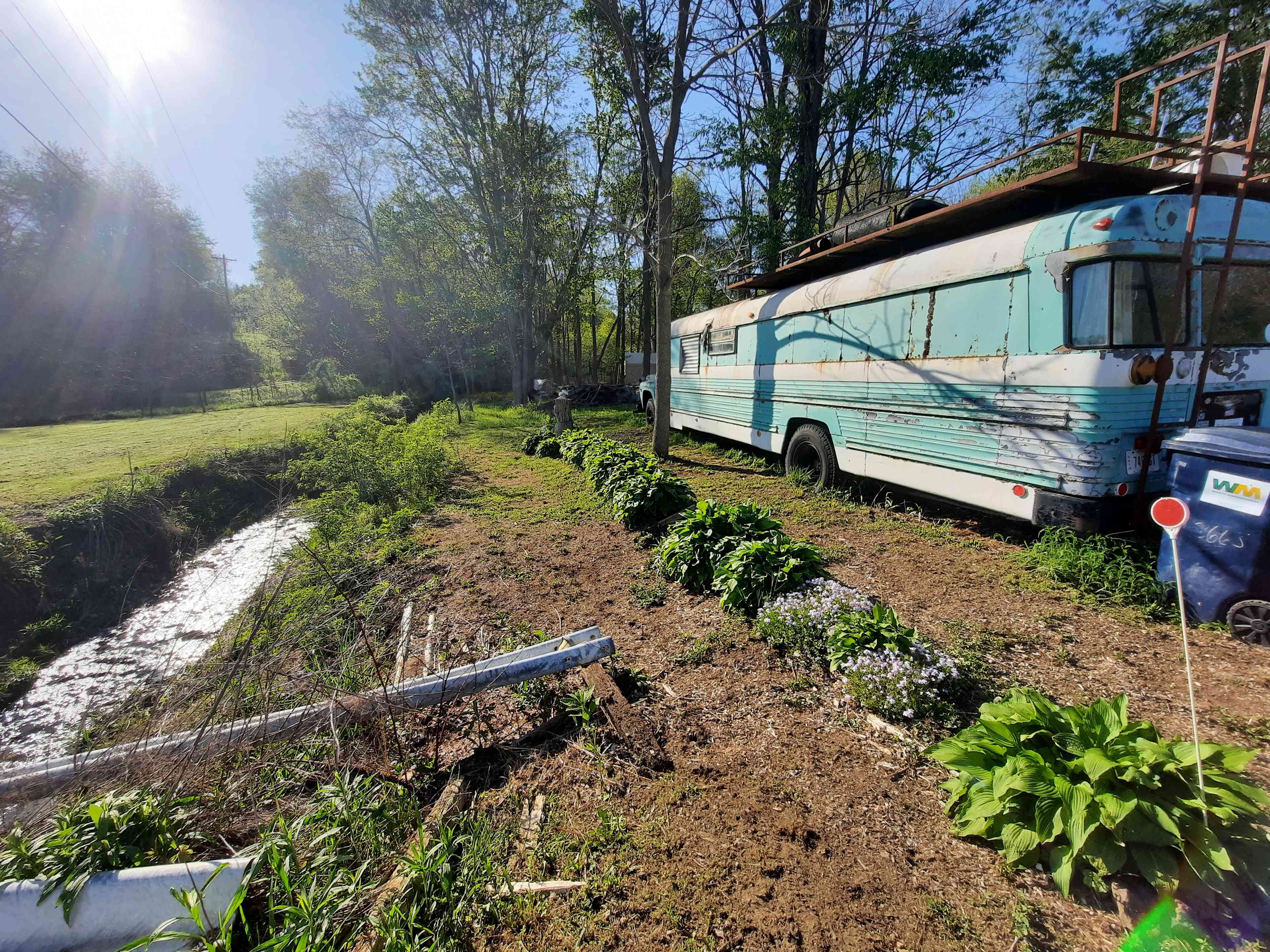 Utopia Meadows