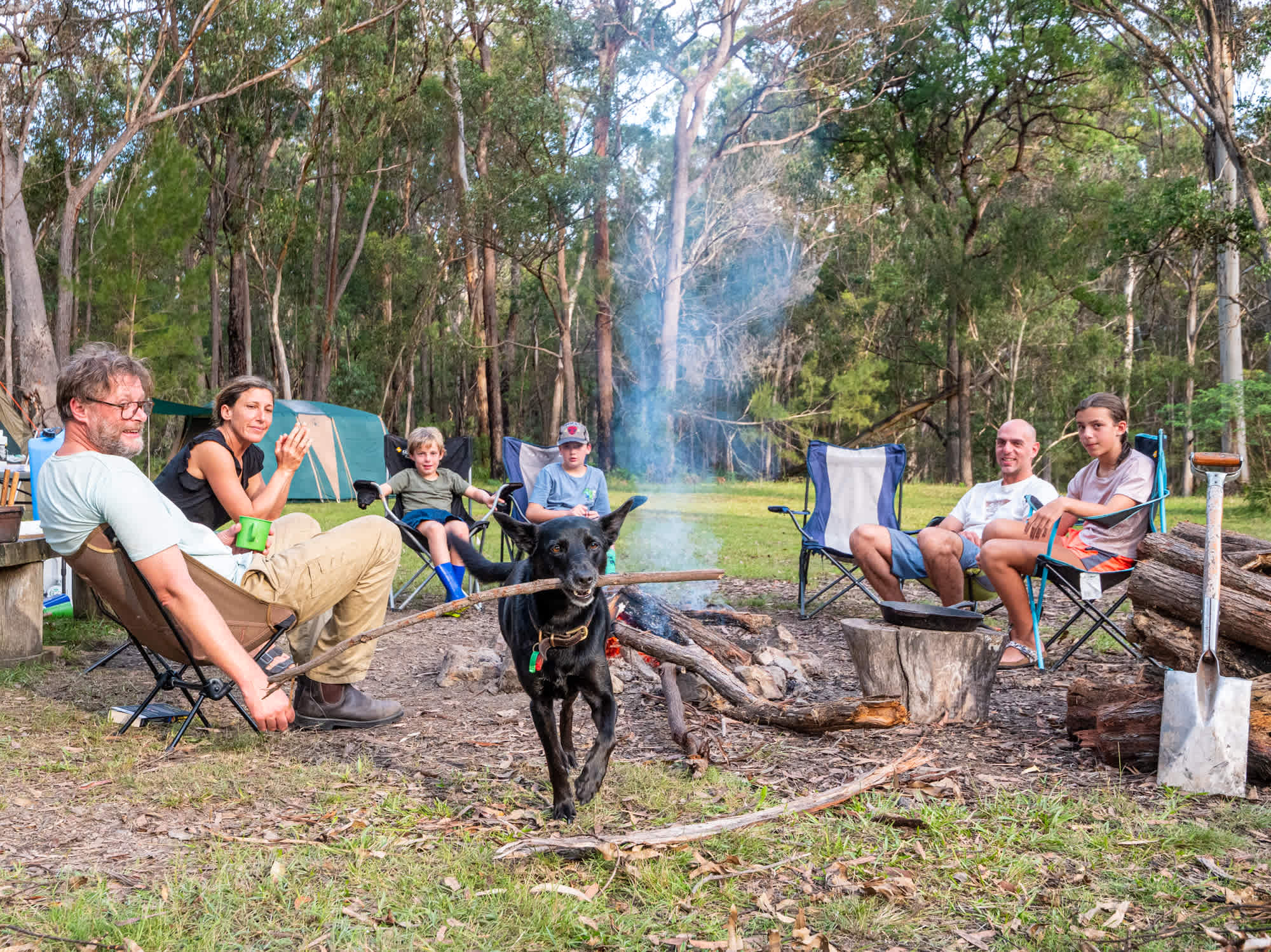 Bush Camp 1 - Autumn night 