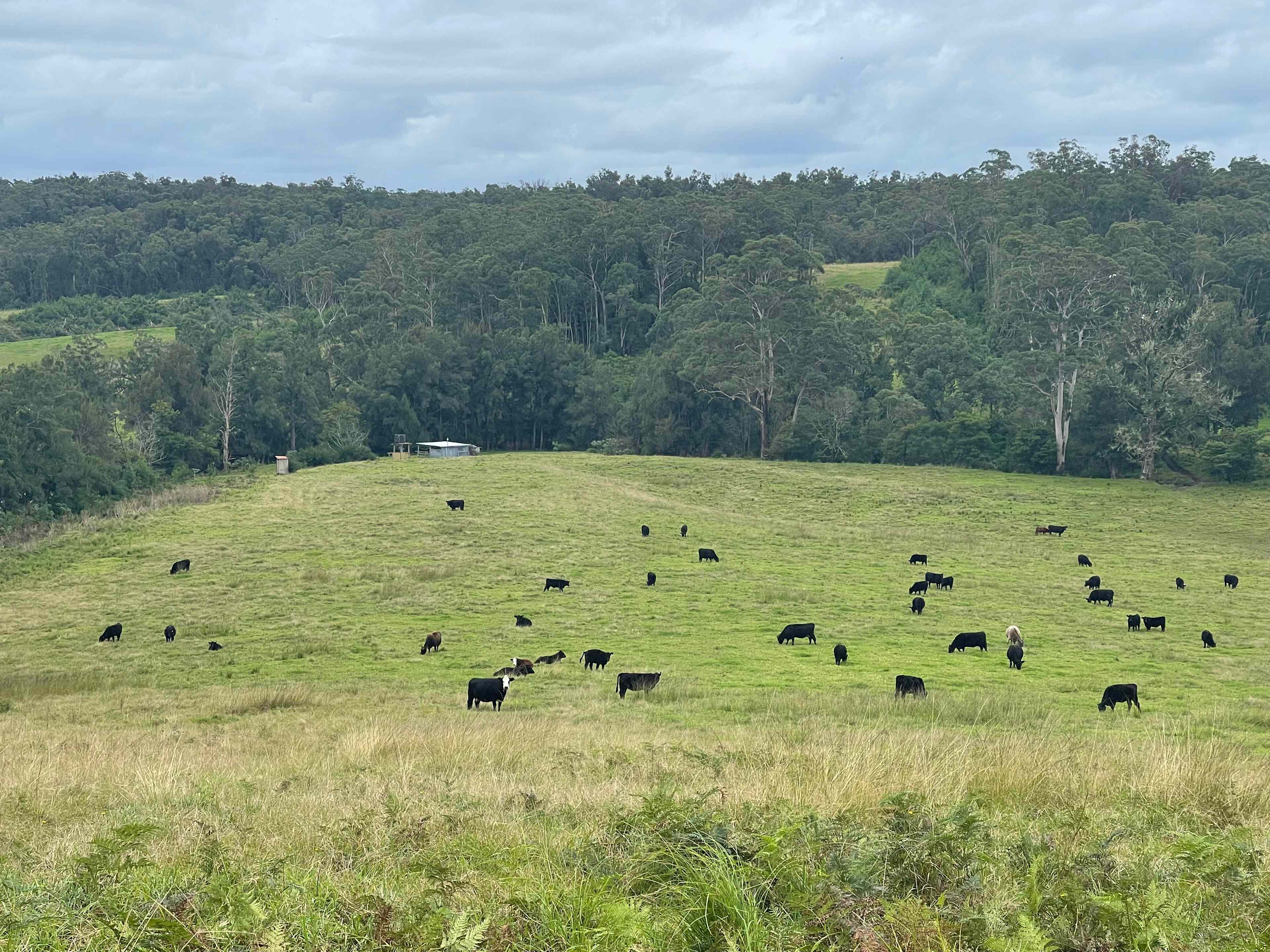River Run Farm