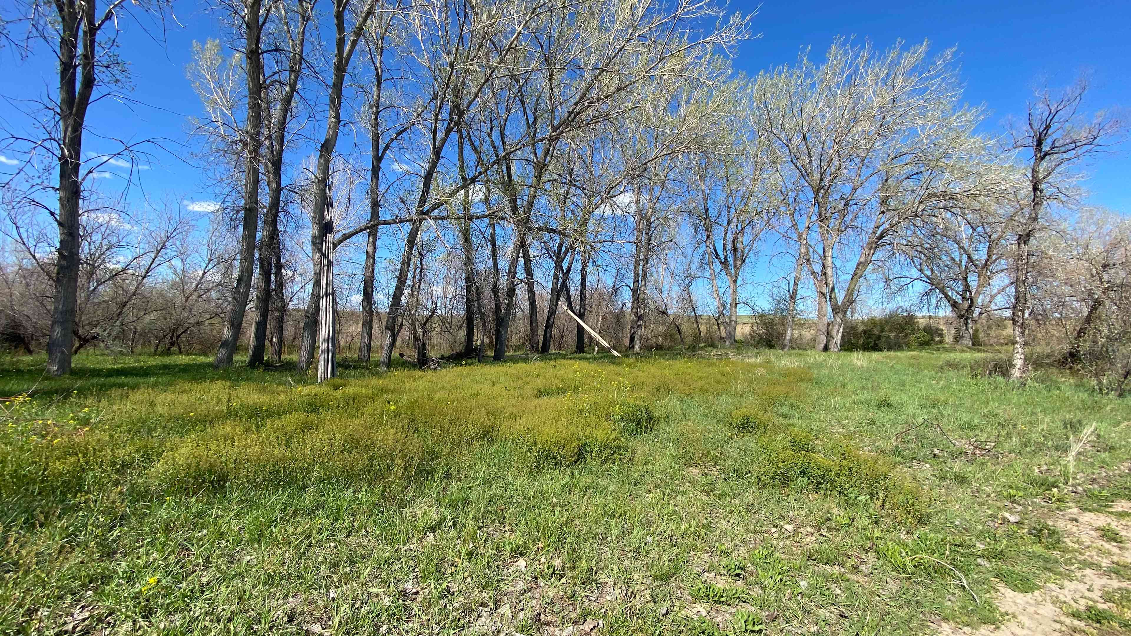 Medicine Tail Coulee Camp