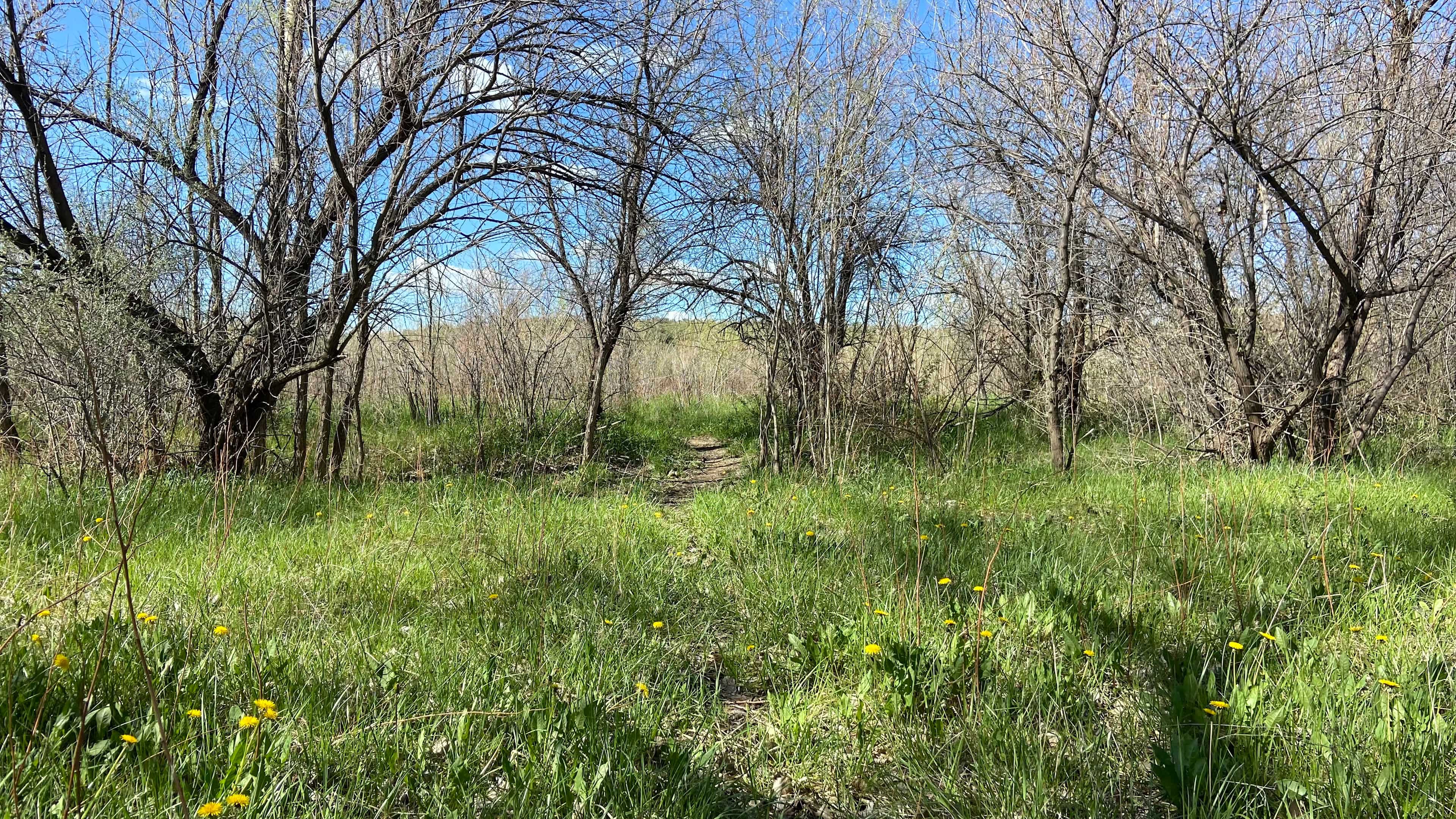 Medicine Tail Coulee Camp
