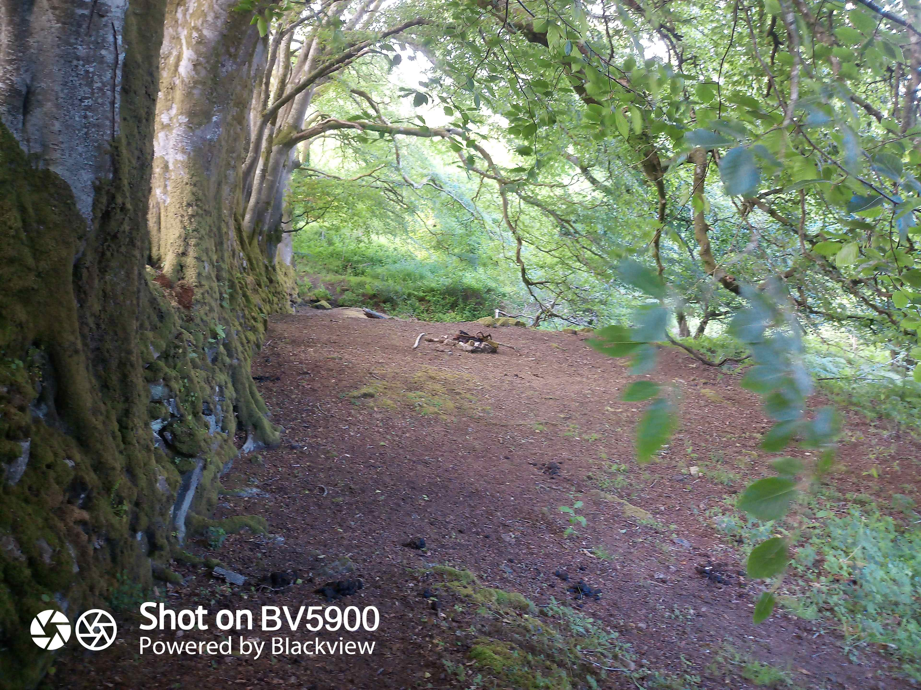 Meldon Lake and Woods Wild Camping