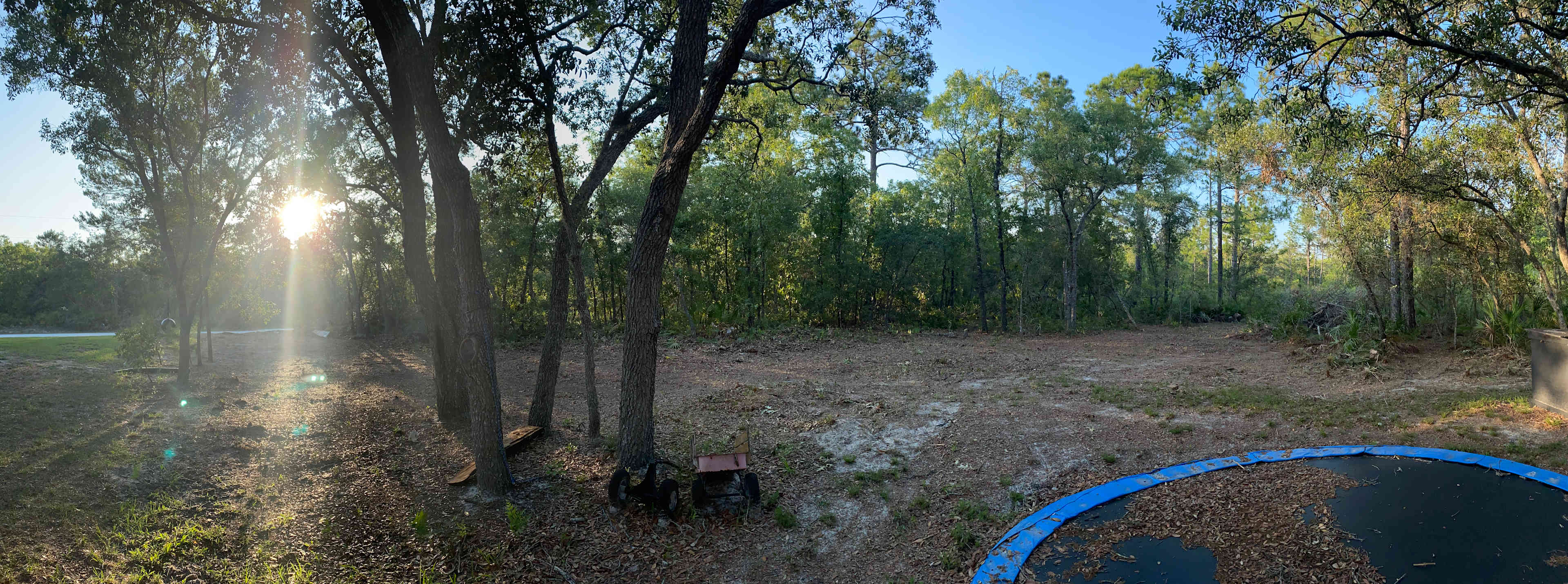 Twin Pines