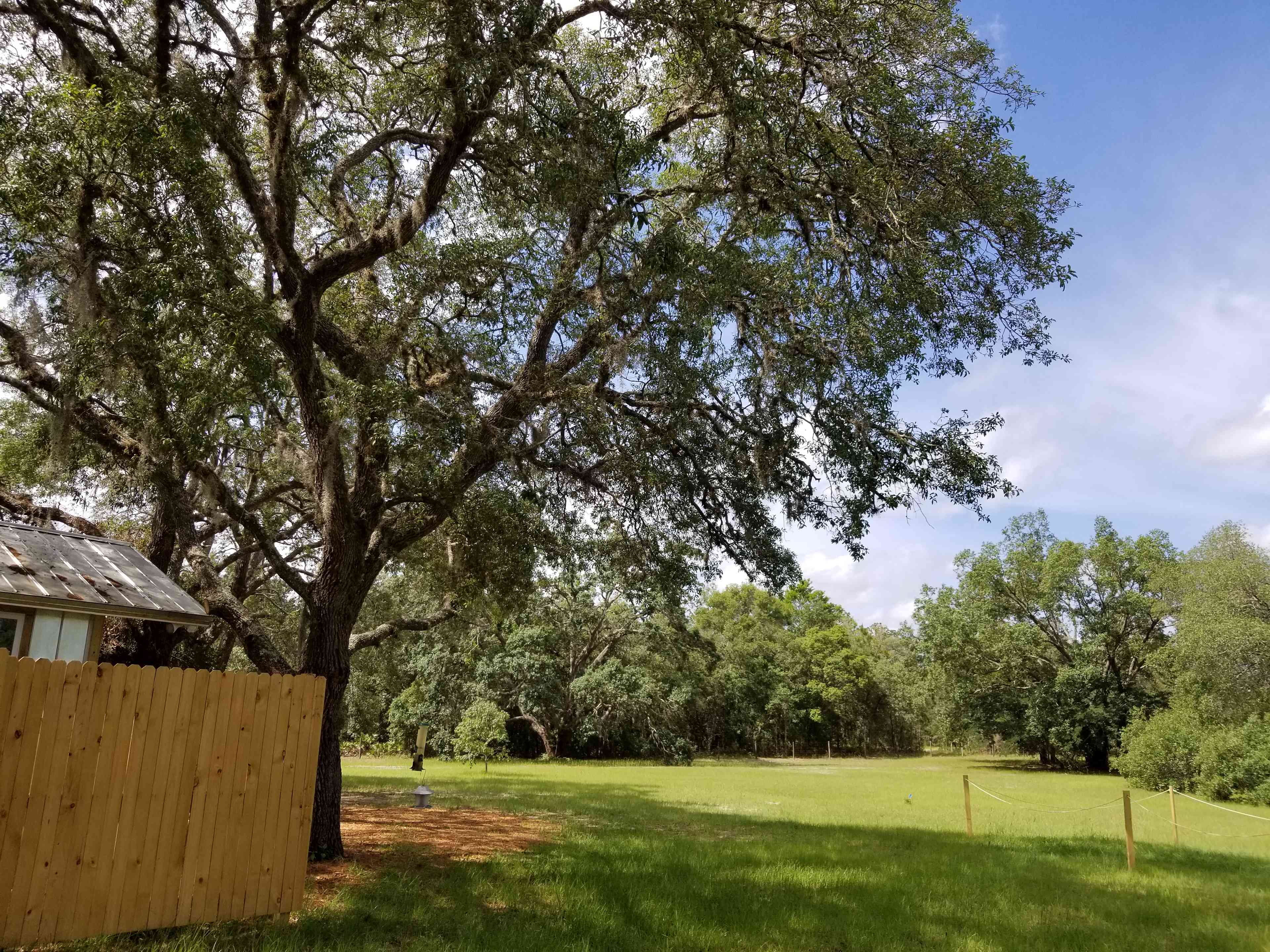 Whispering Oaks