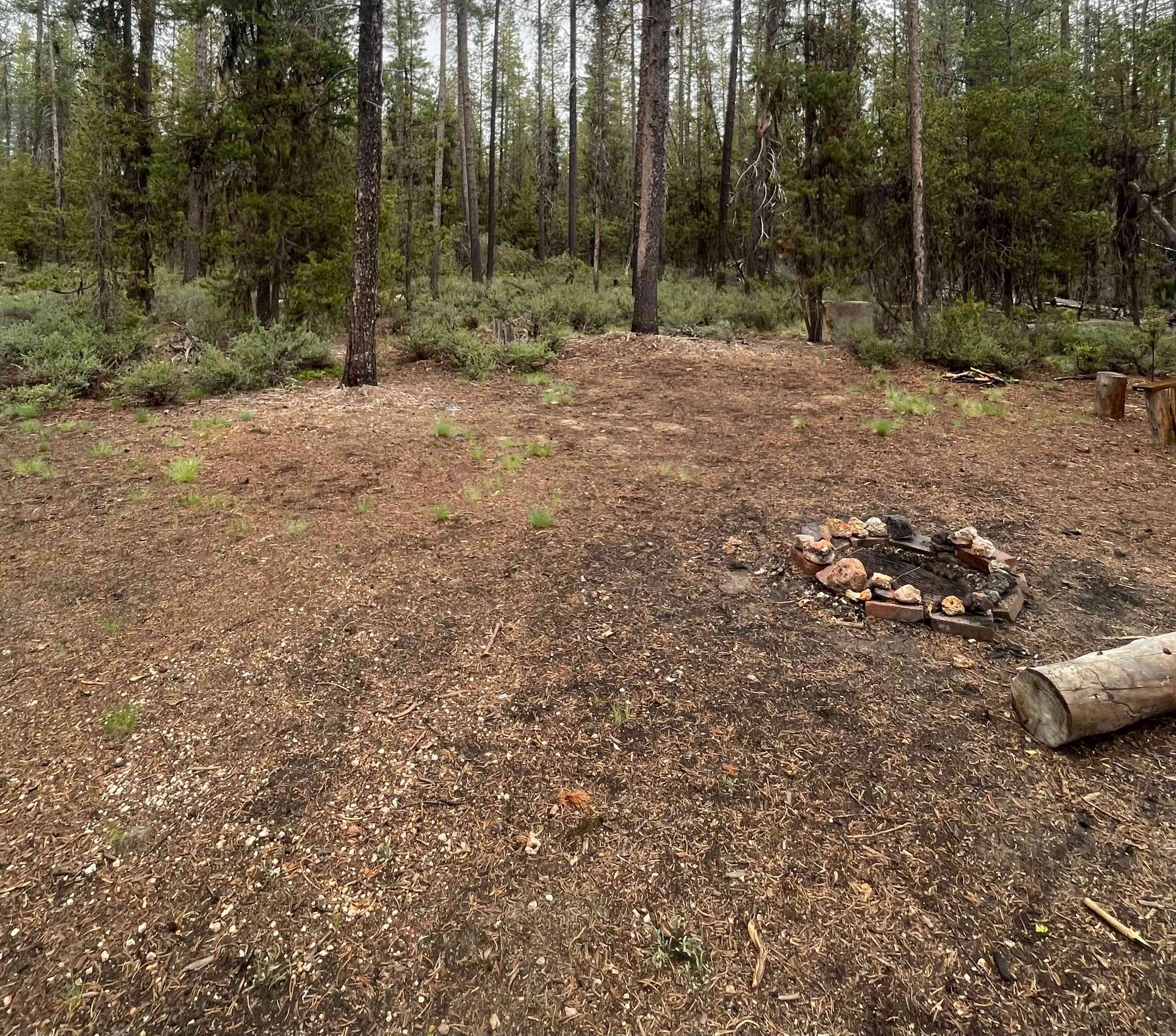 Mt. Scott Camping