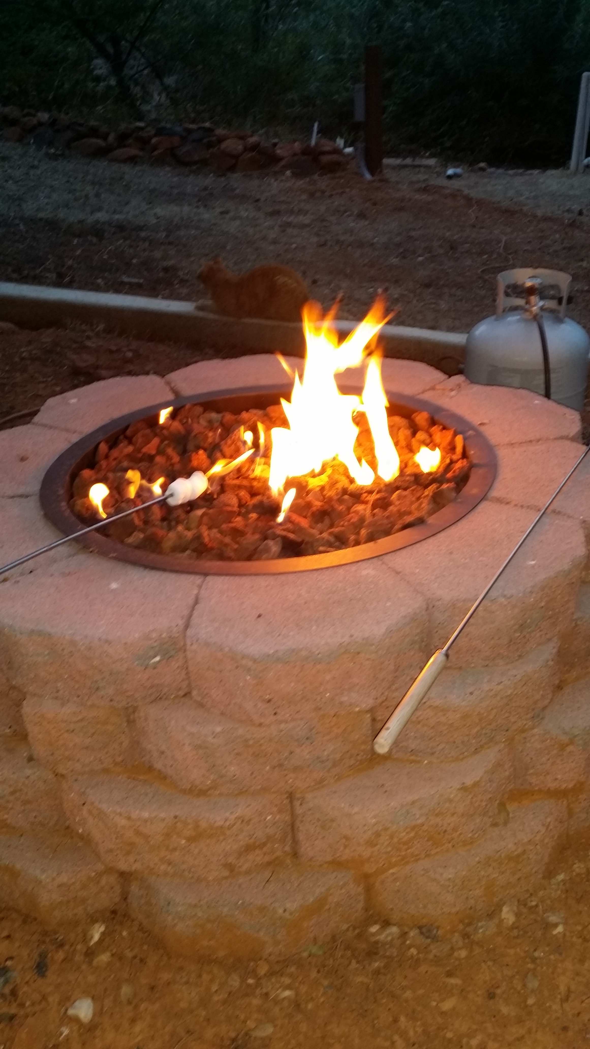 Golden Briar Camp