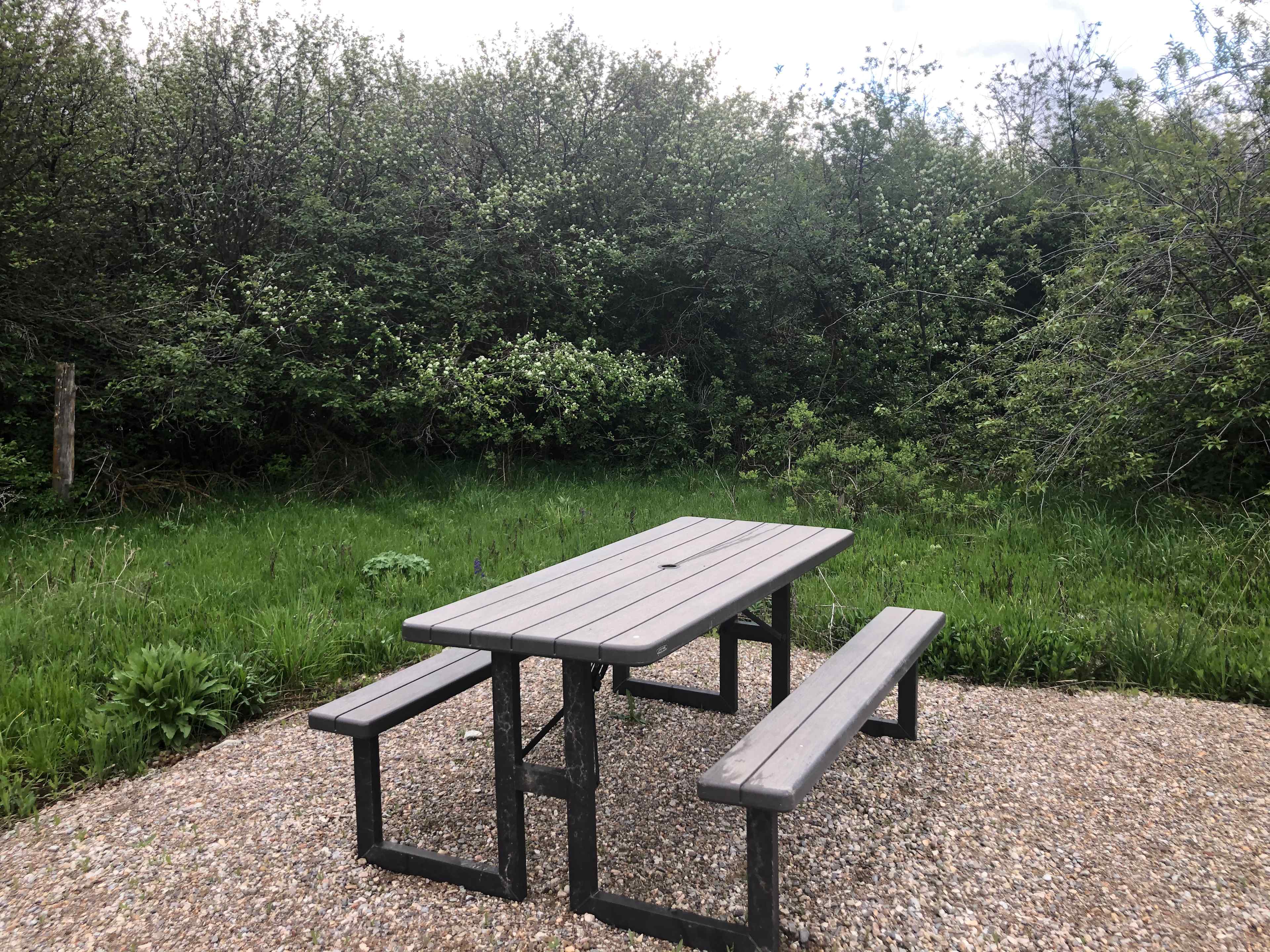 The picnic table. 