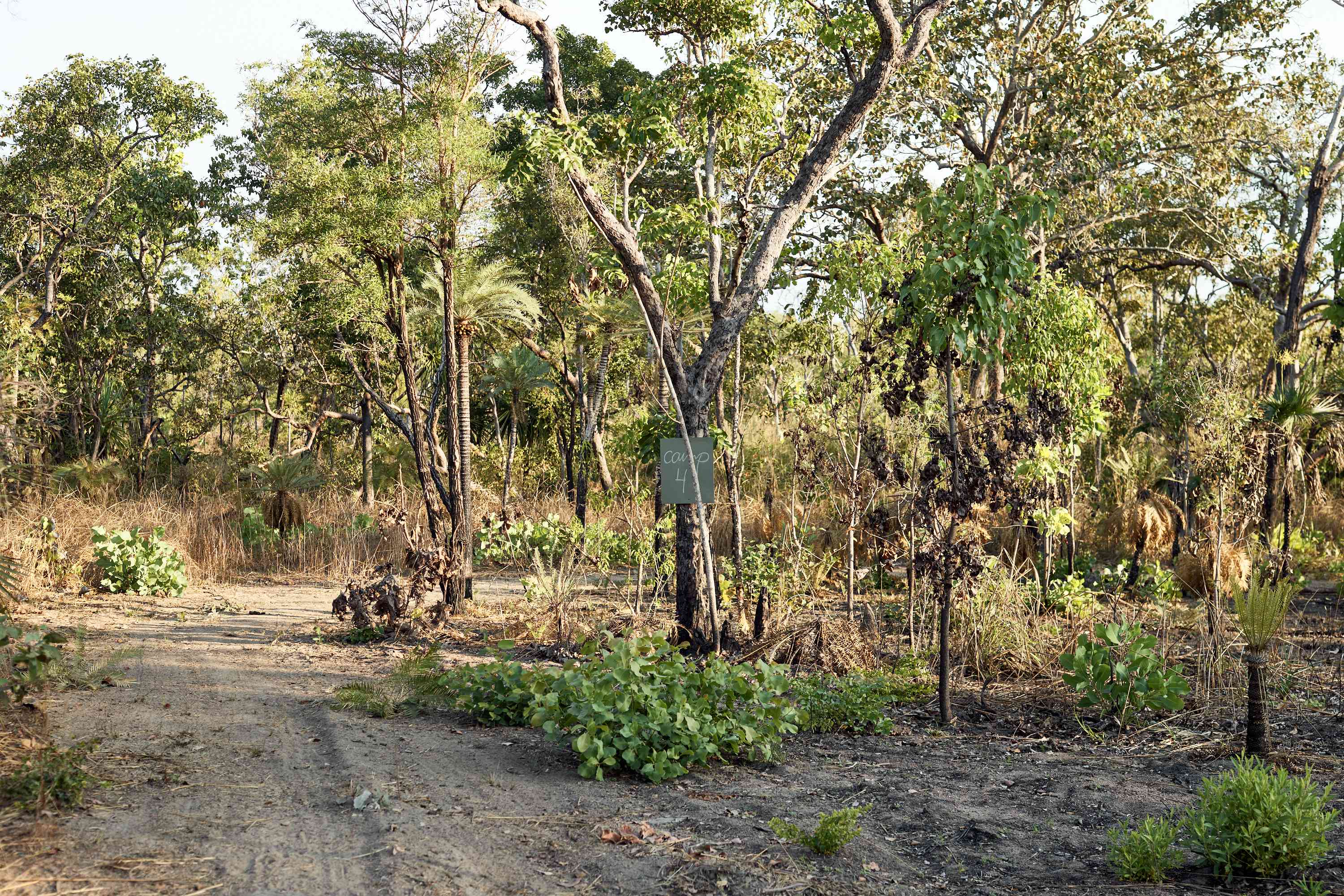 Rum Jungle Ridge