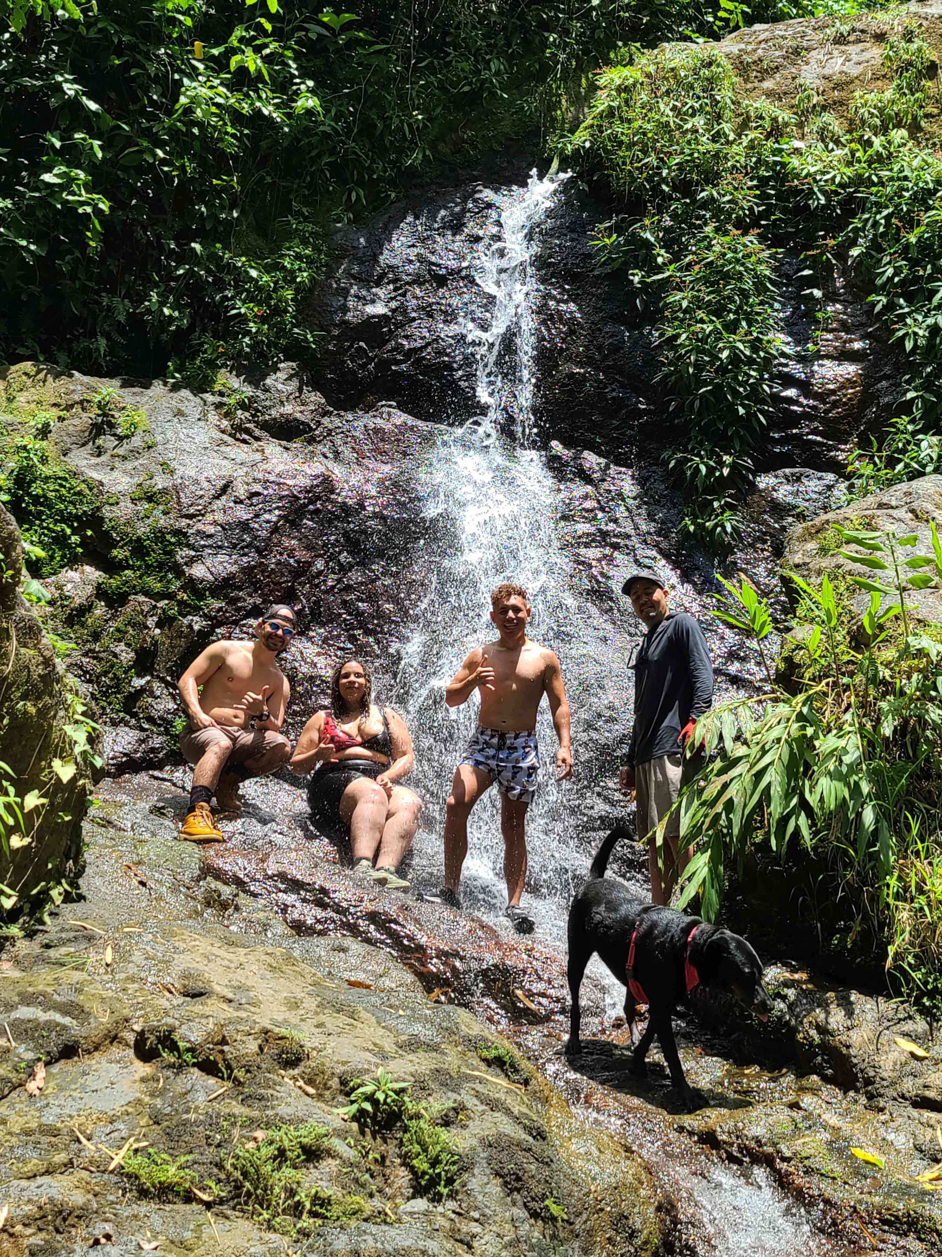 Rainforest Campground & Glamping