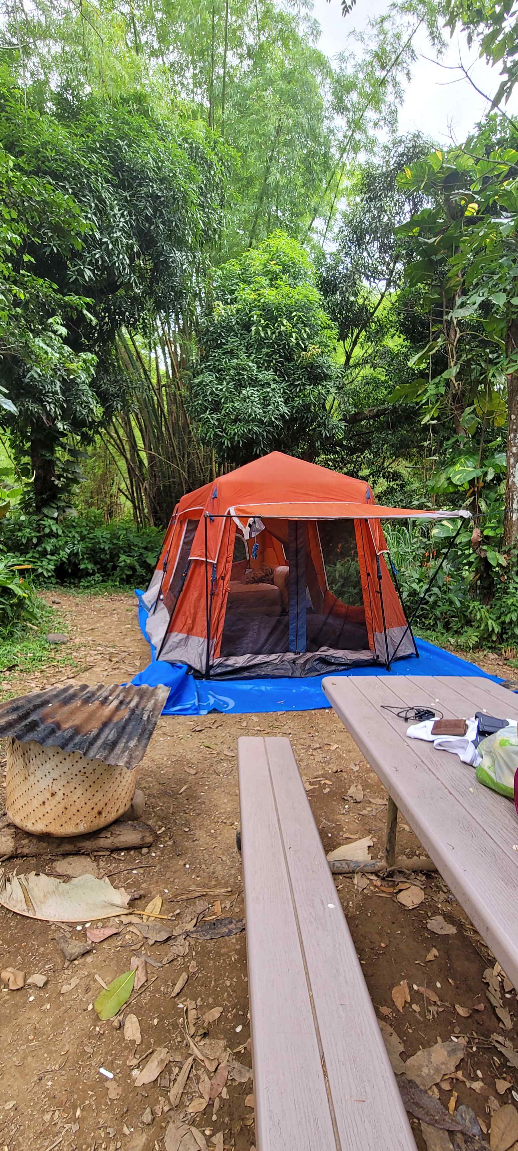 Hacienda Monte Rey near El Yunque