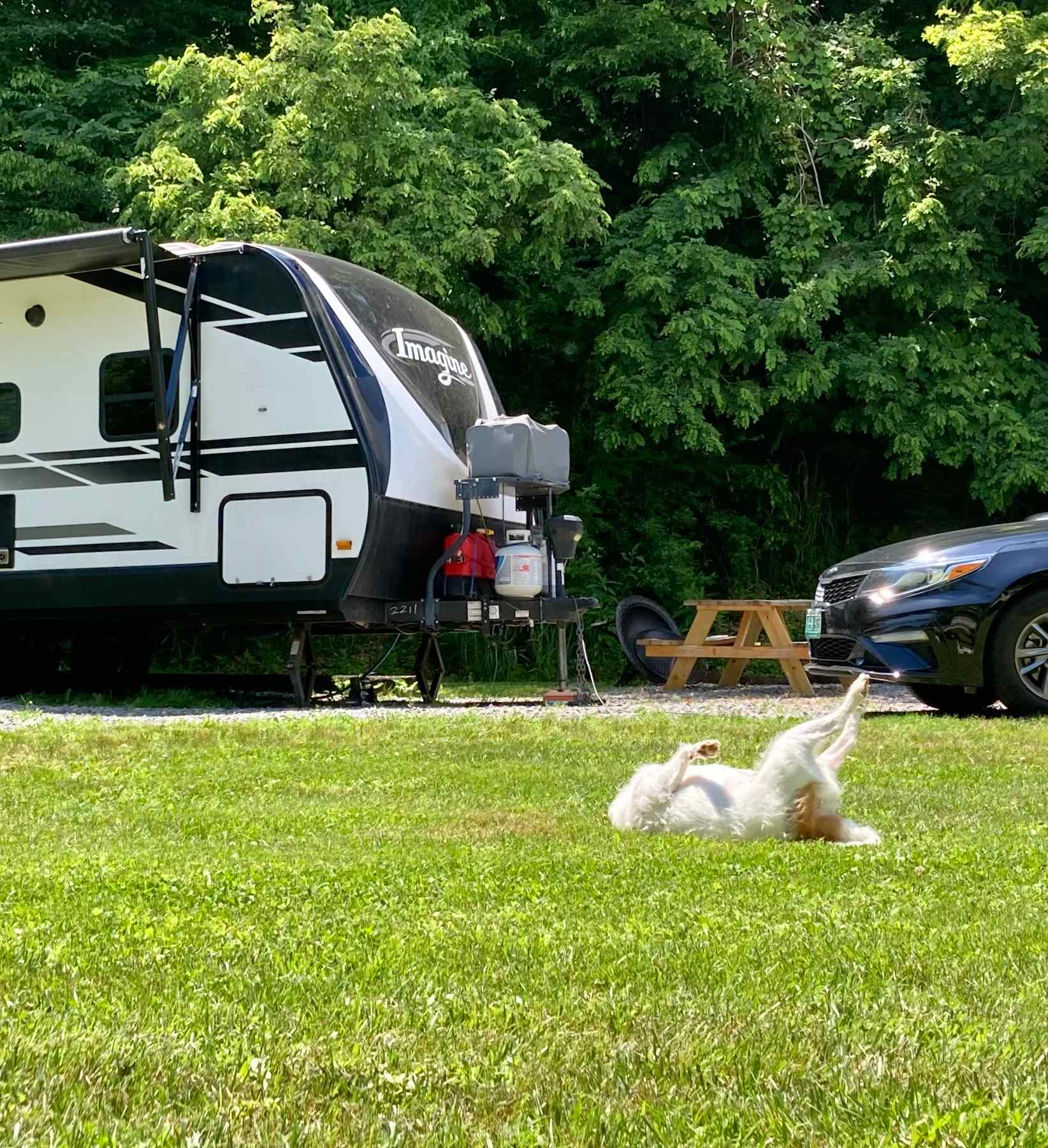 Theodore the doggo gives Creekside 4 paws waaay up