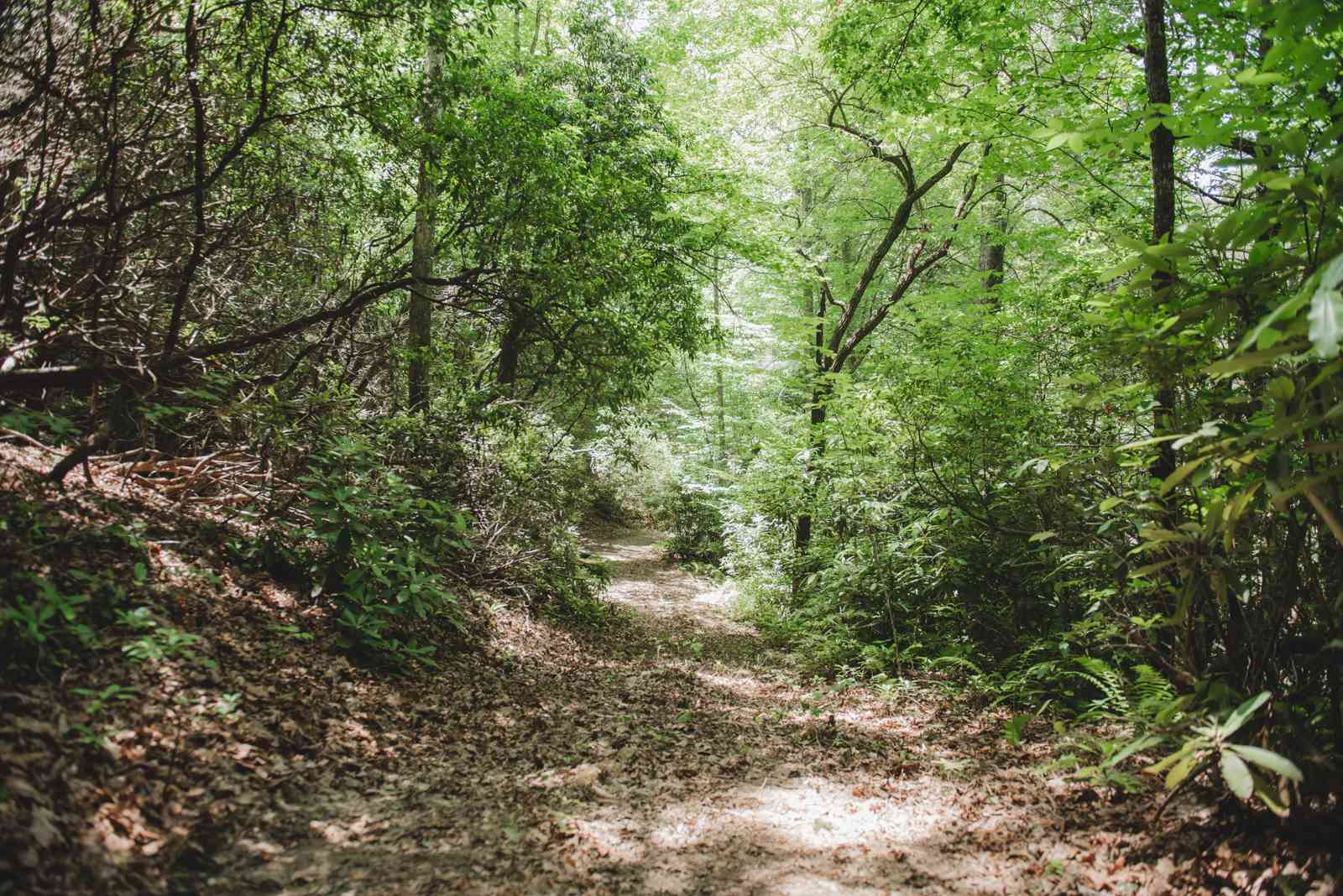 Creekside Camper & Tent Site Rental