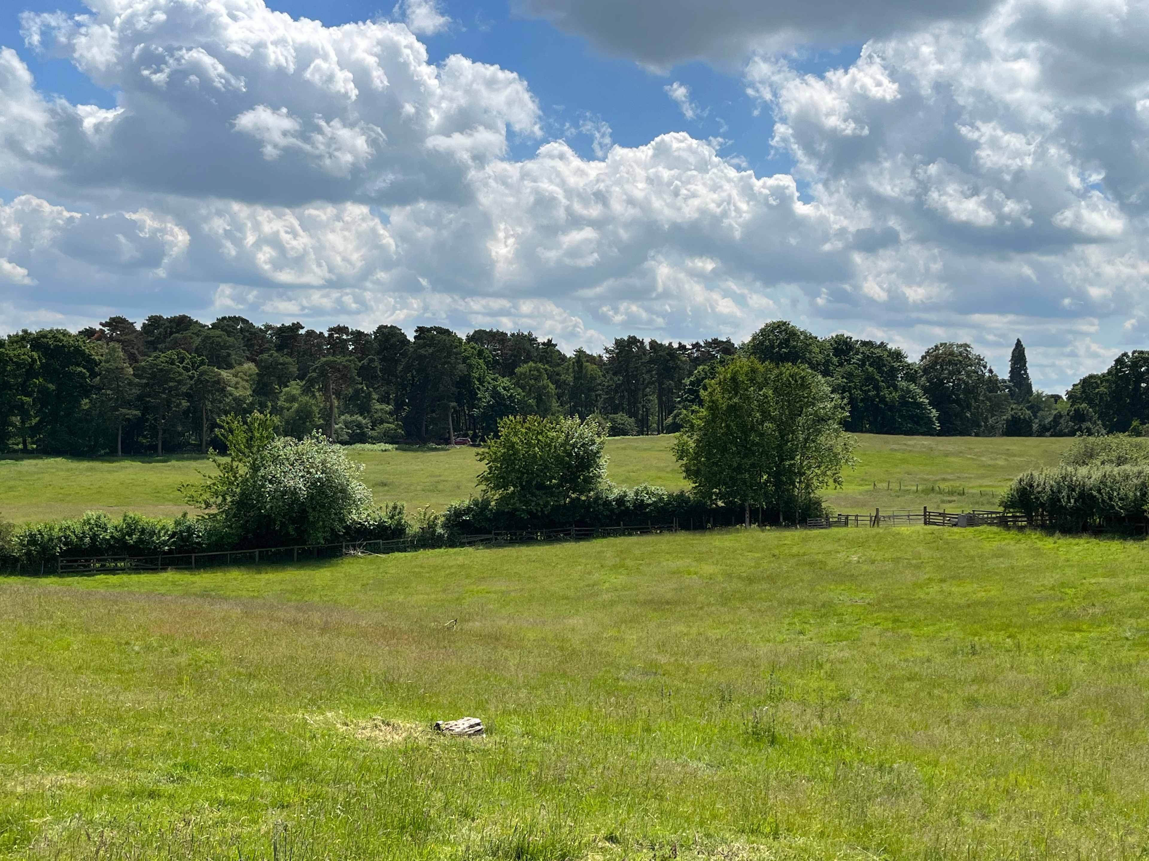 Cherry Orchard Farm