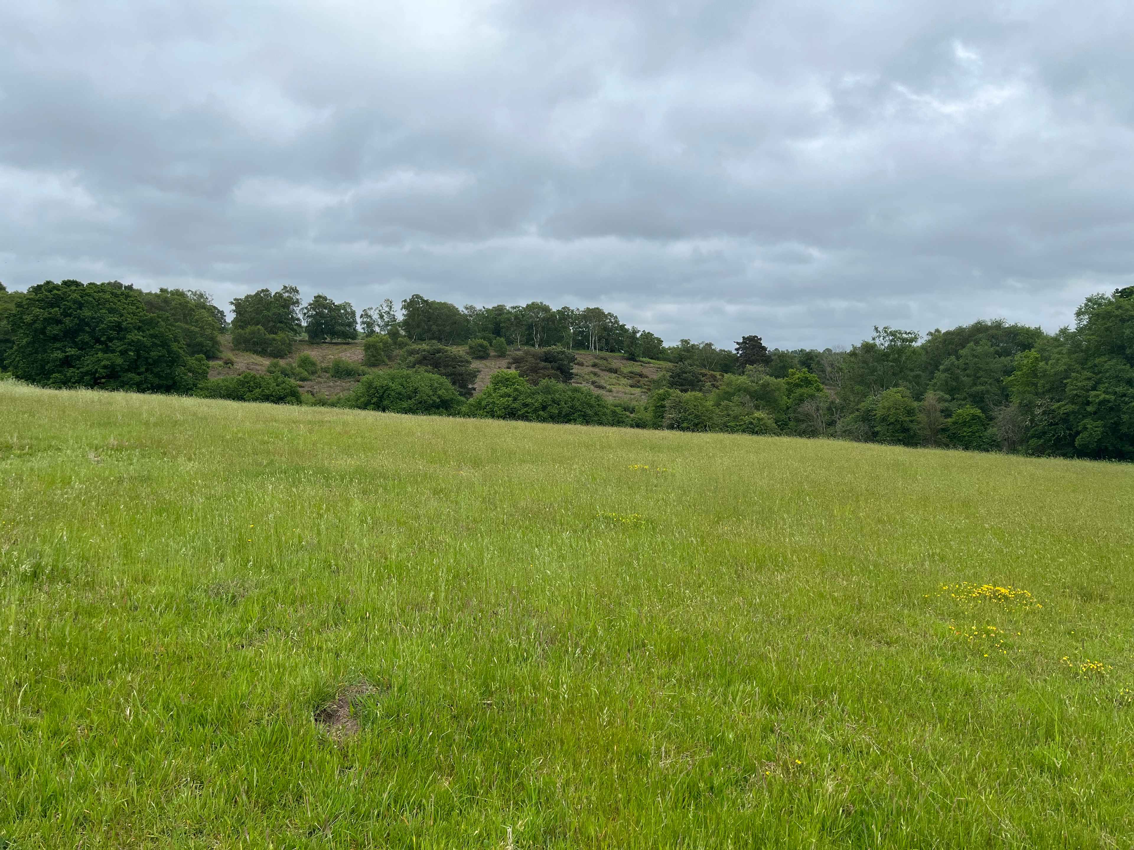 Cherry Orchard Farm