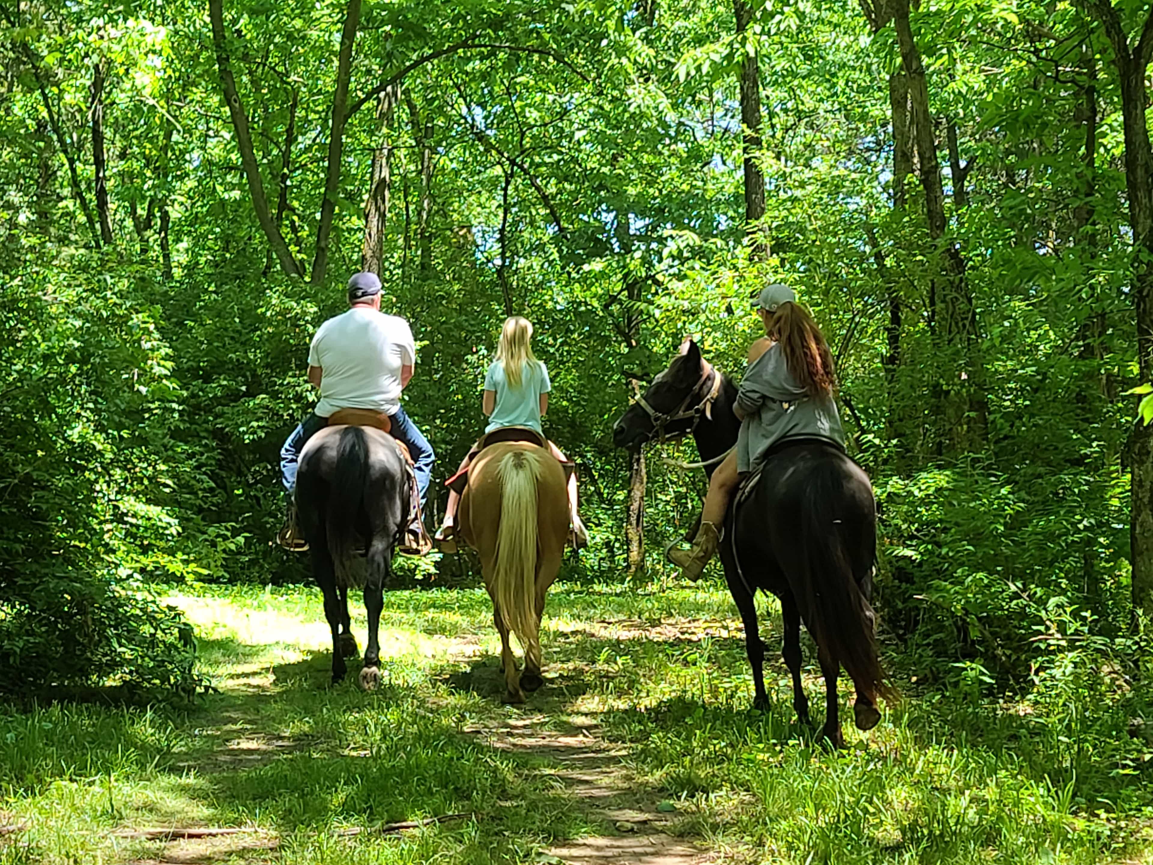 Queenslake - Classic KY Horse Farm