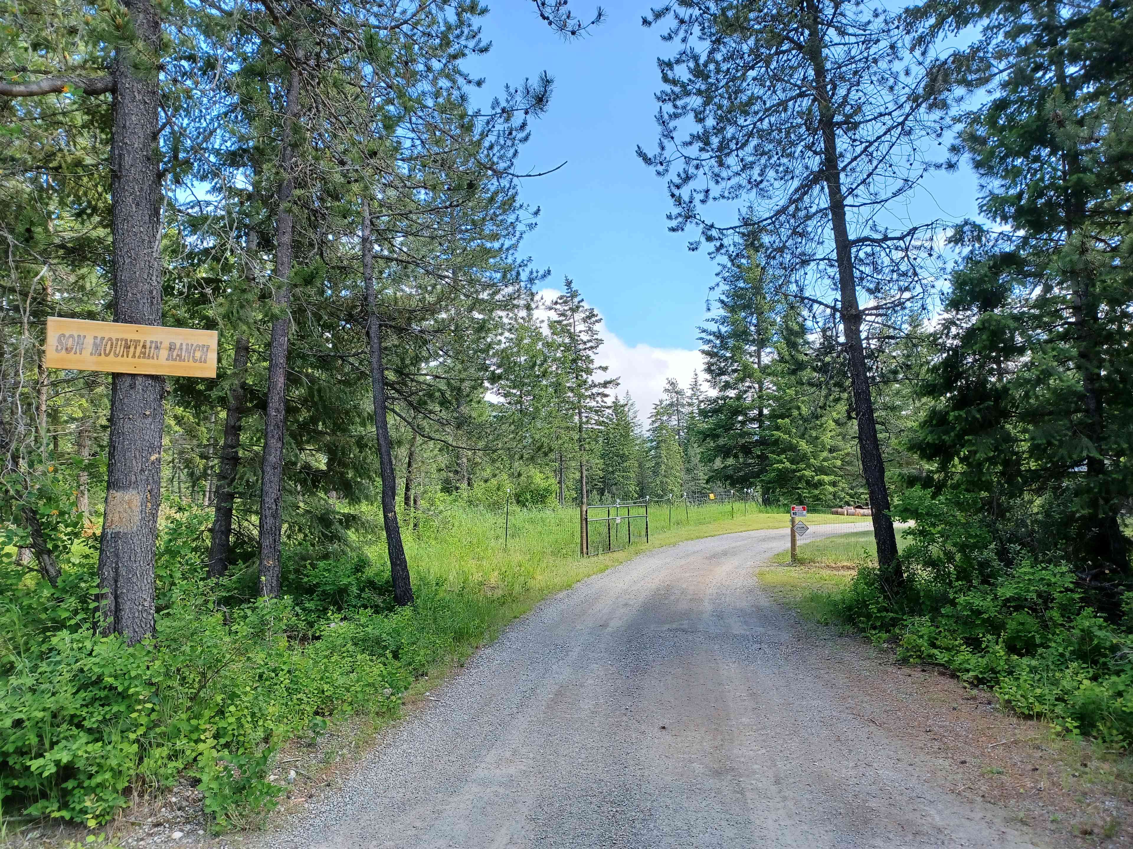 Driveway entrance 
Picture 2