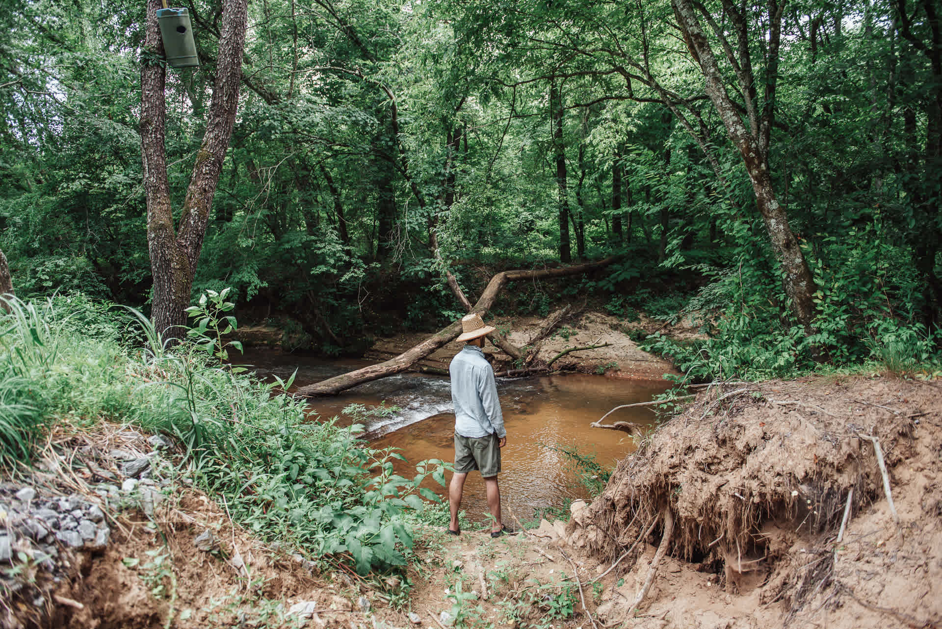 Secluded Mitchel River Camping