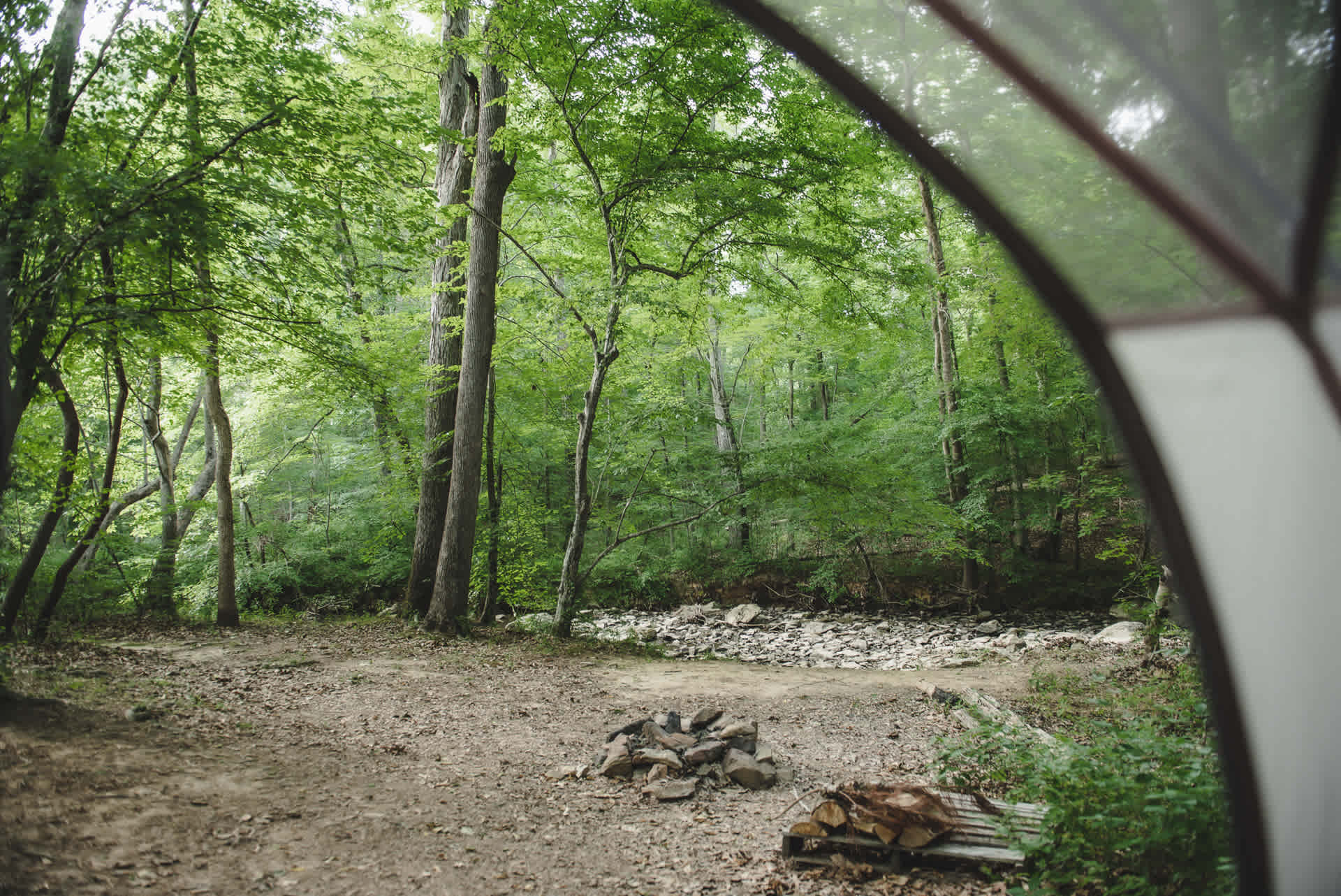 Rare, Watershed Forest - Piedmont