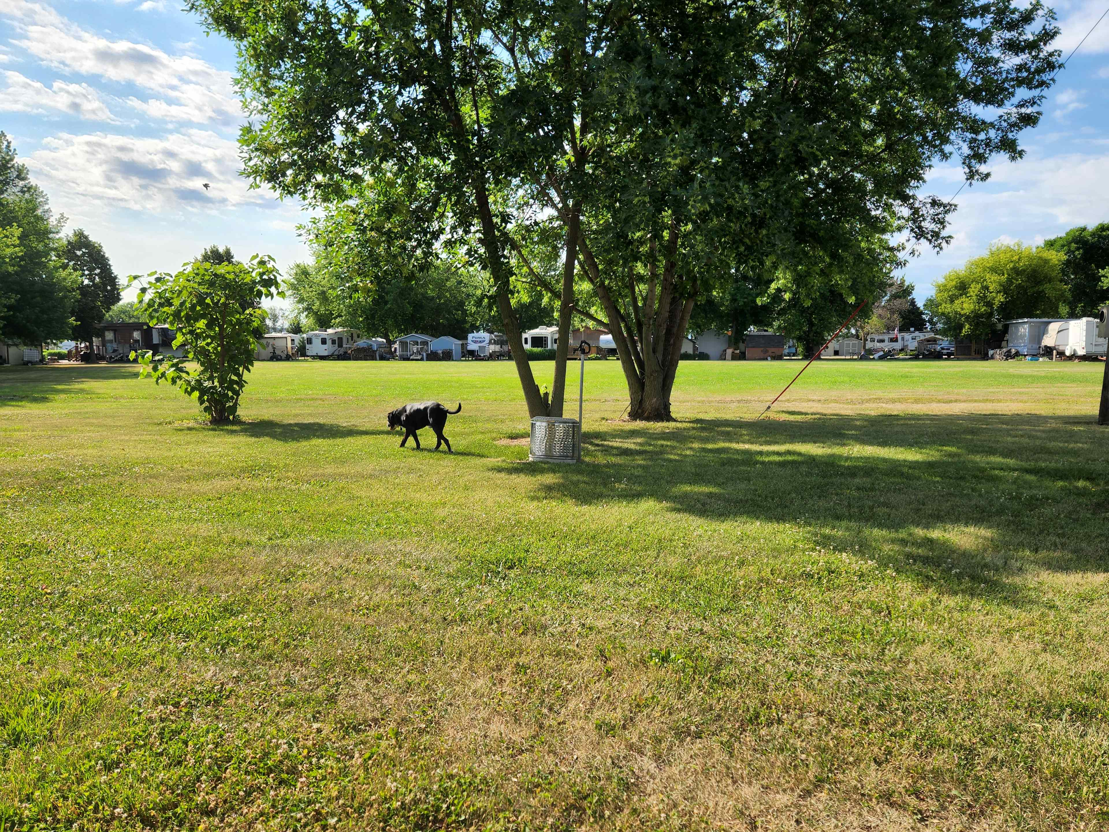 Dispersed tent area. Pets are welcome but please keep on leash