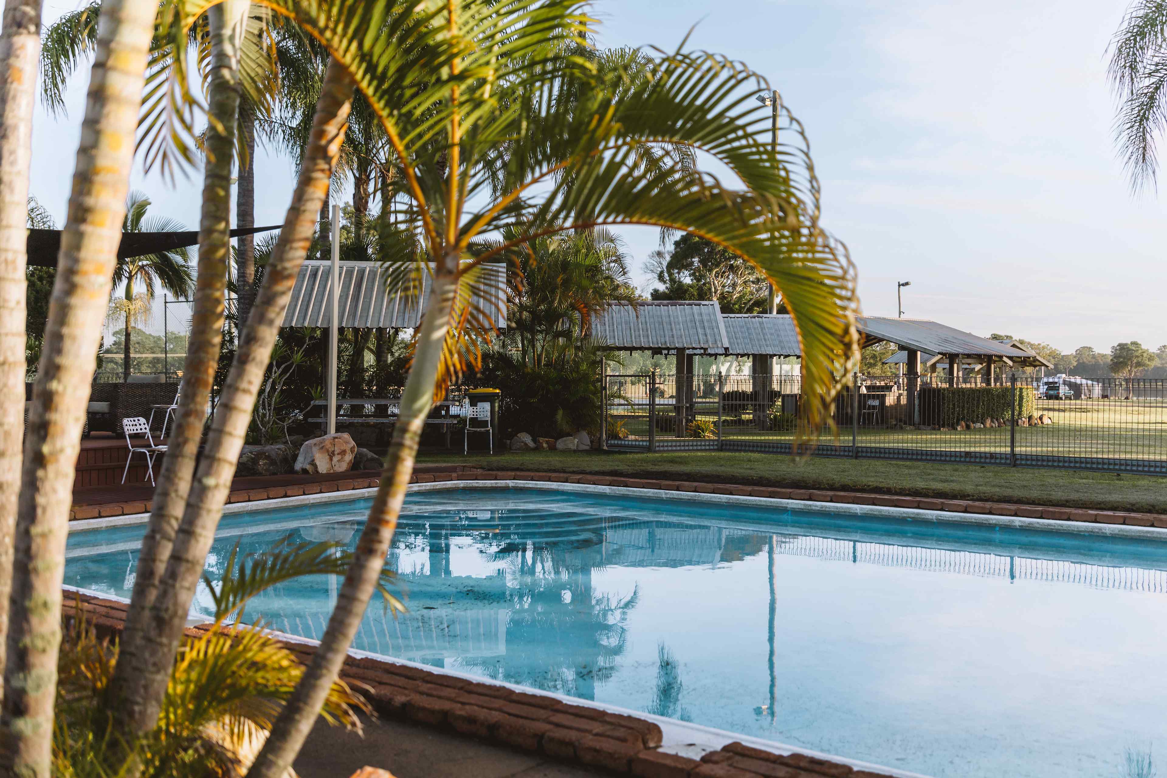 Tropical swimming pool