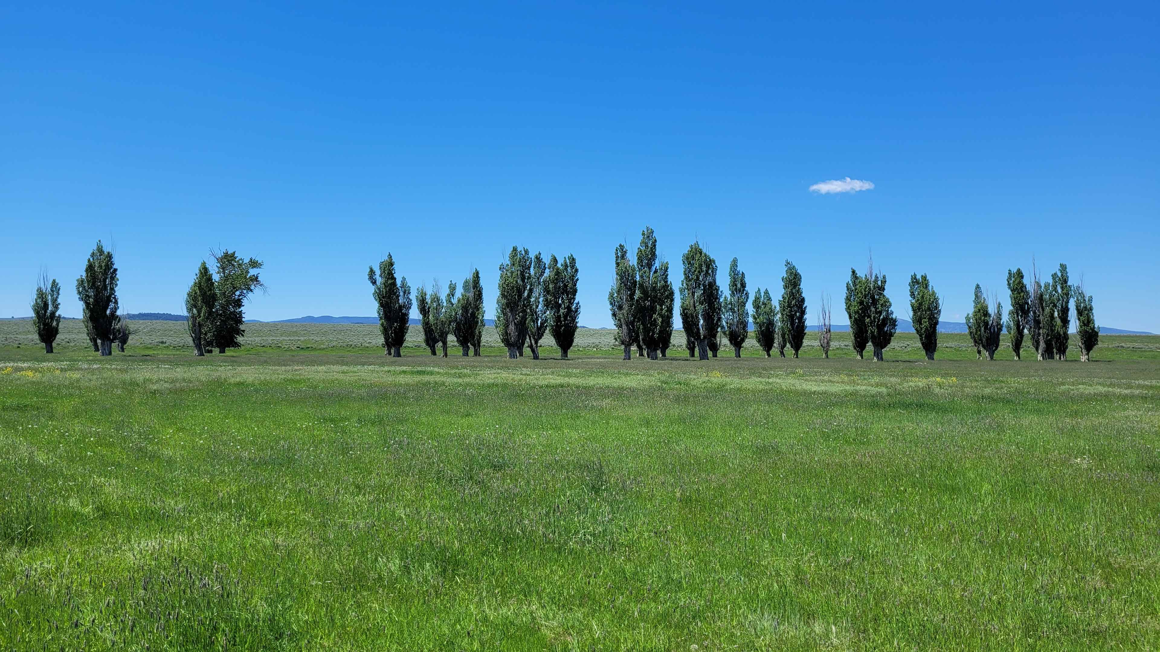 Feel free to park and camp in the Poplars