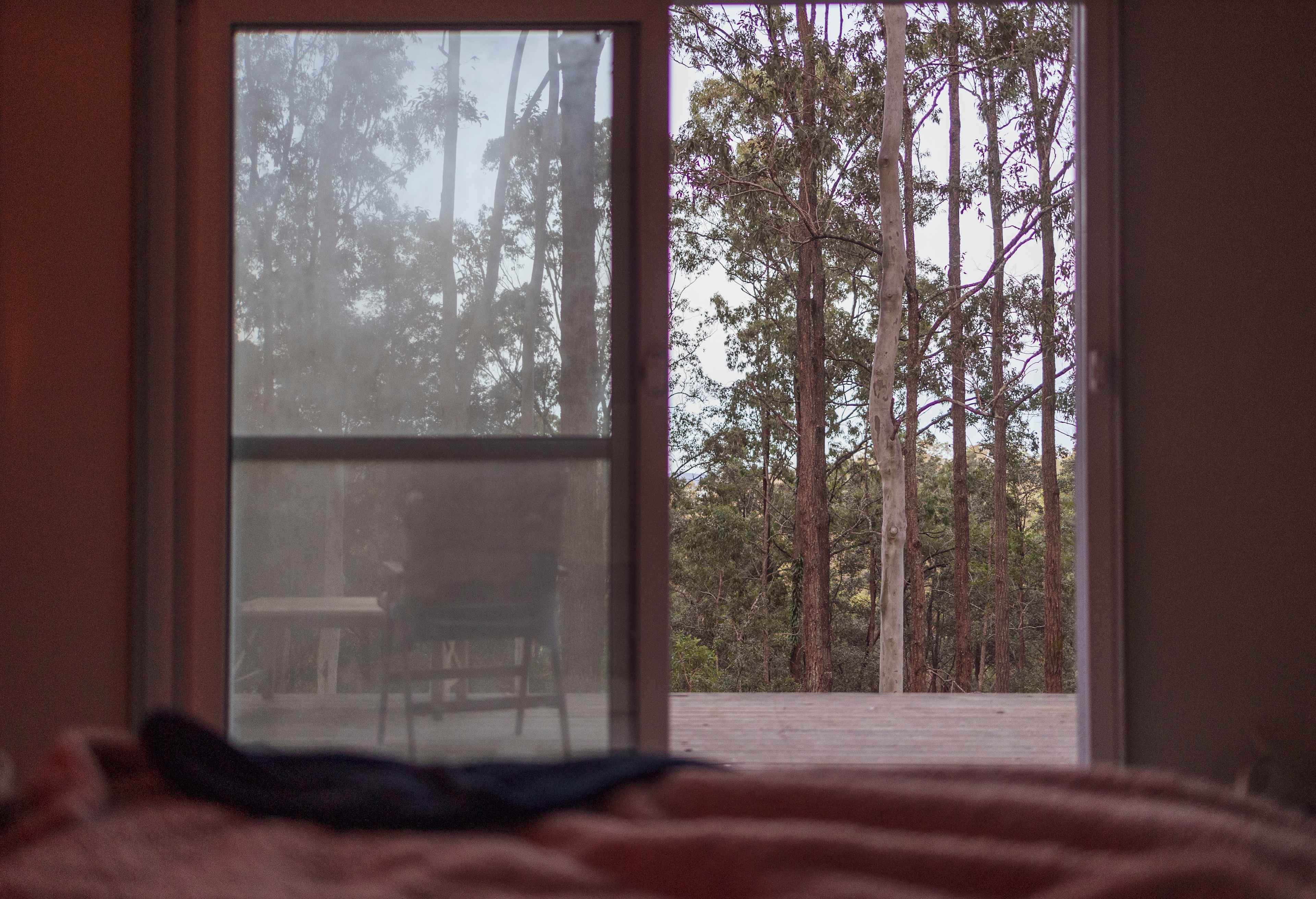 View from bed 