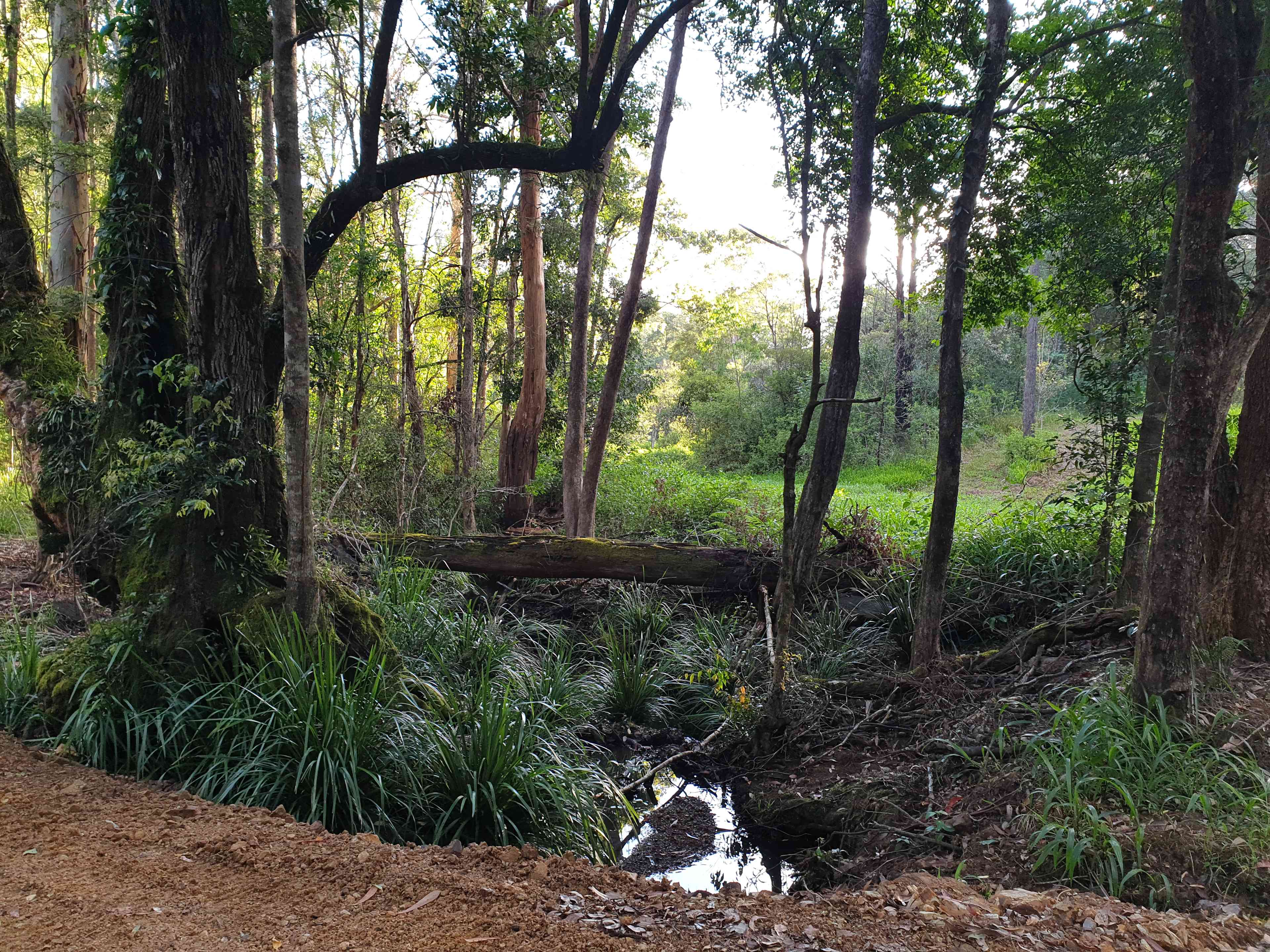 Creek Crossing