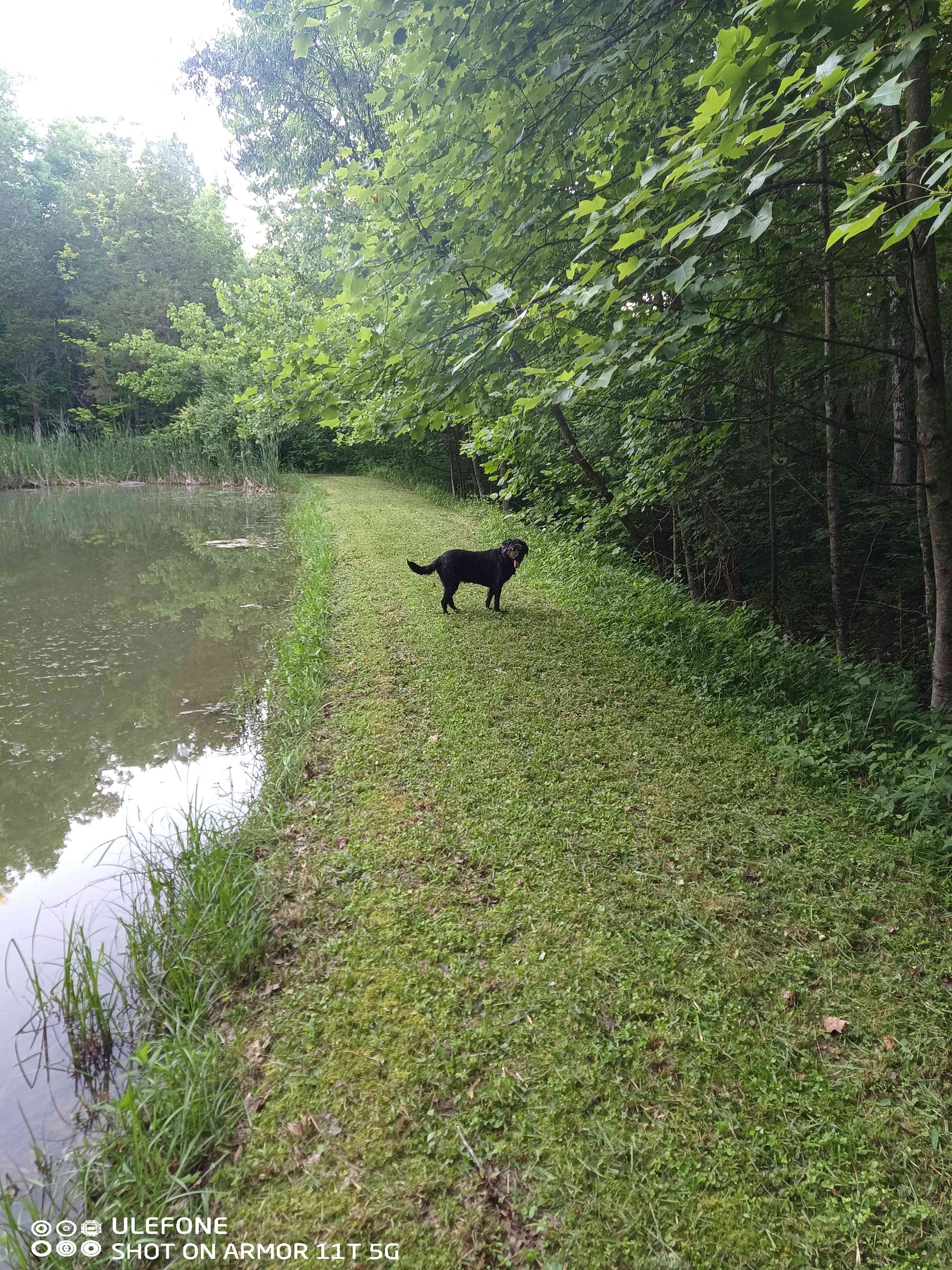 Bear Pond
