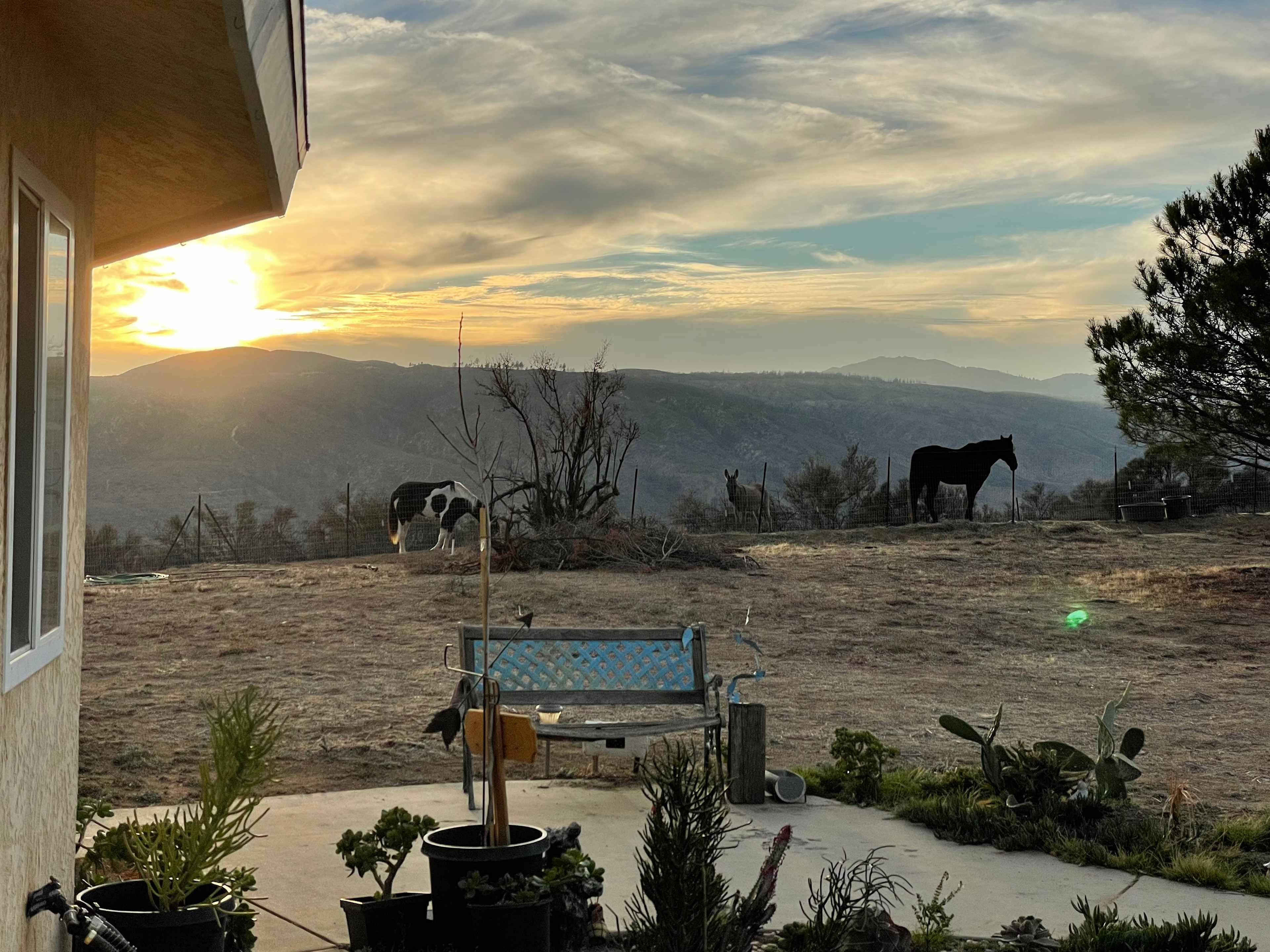 Wild Horizon Farm