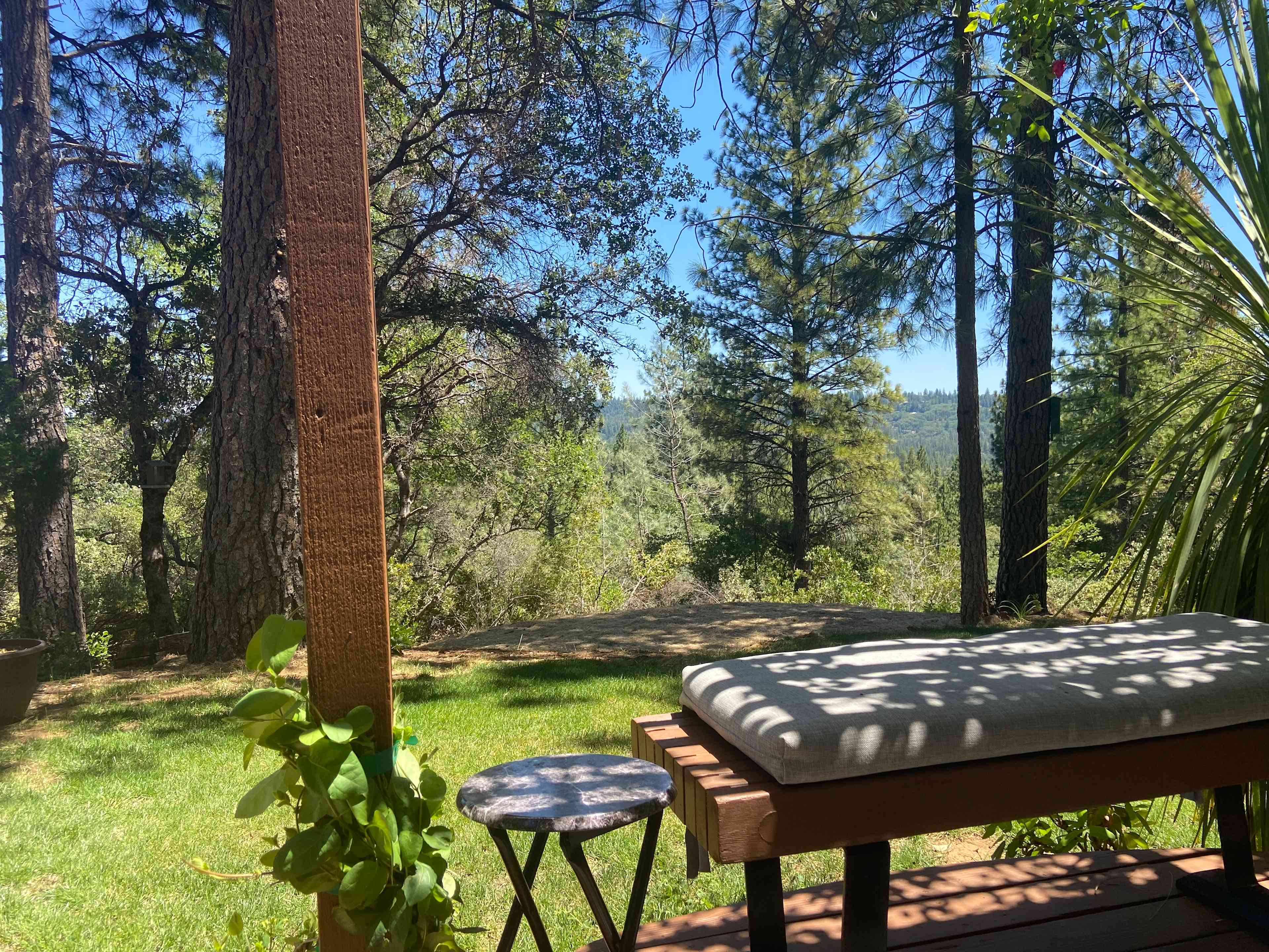 Peace in the Pines