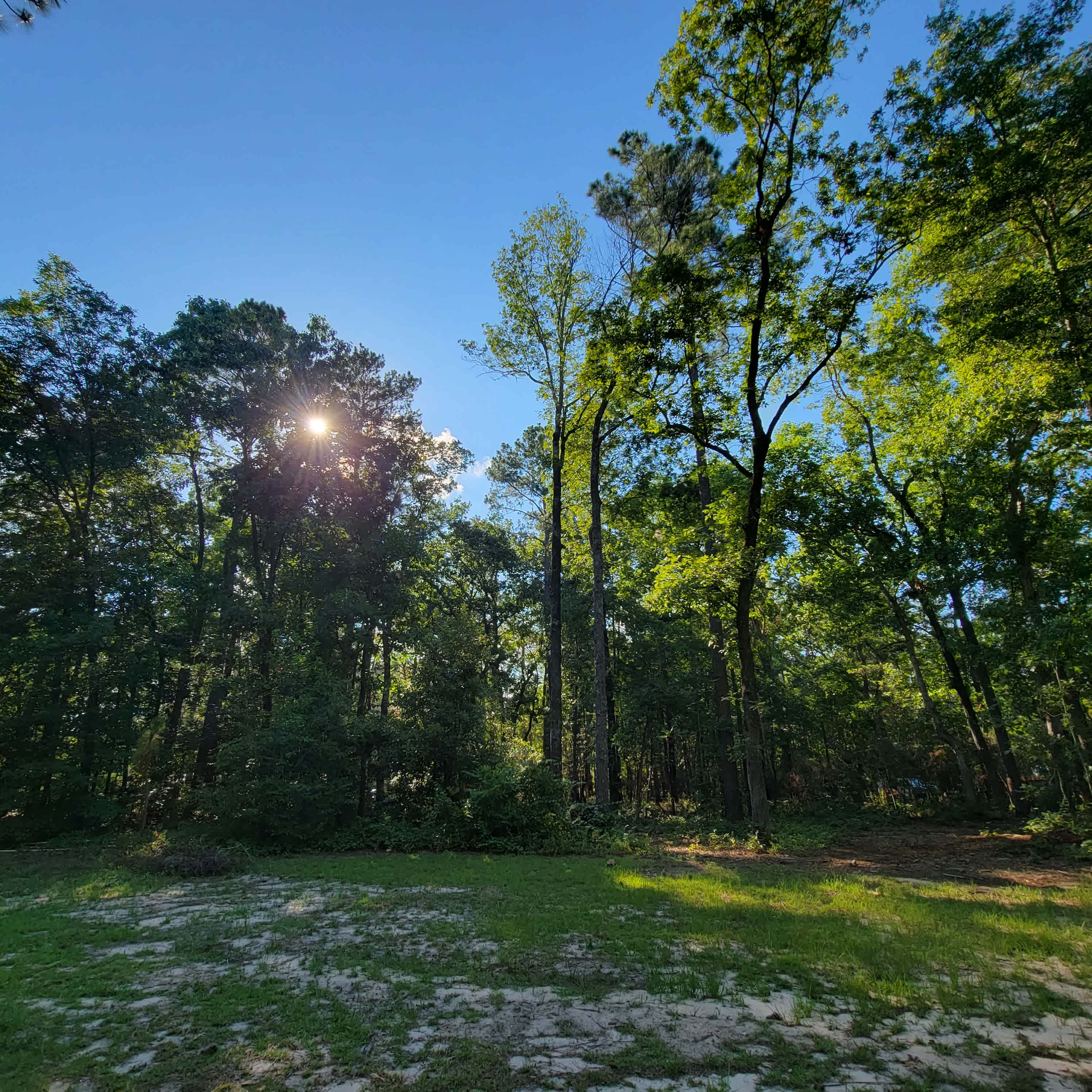 A view from the campsites