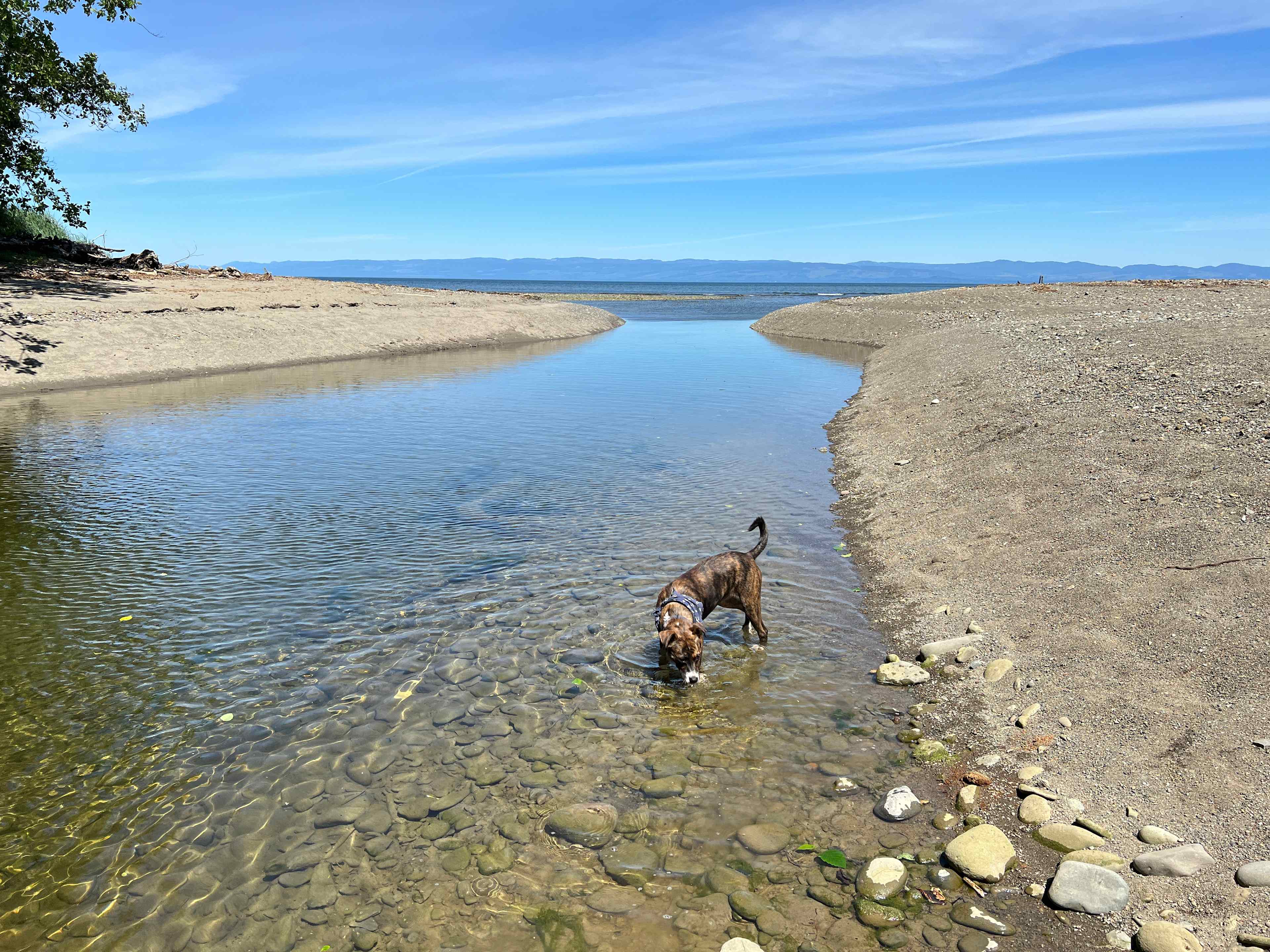 The creek heading into the strait