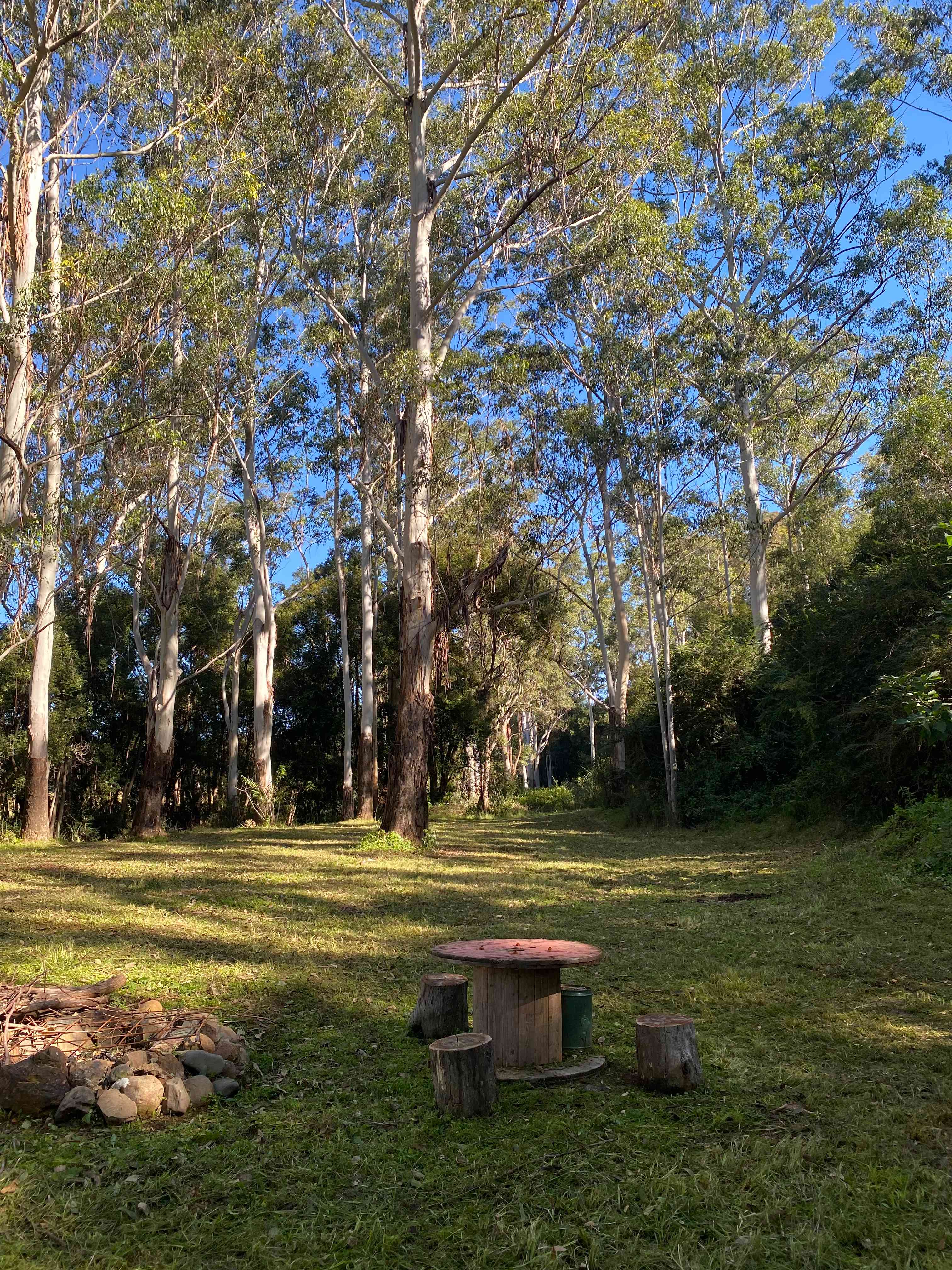 Bulli Creek camp
