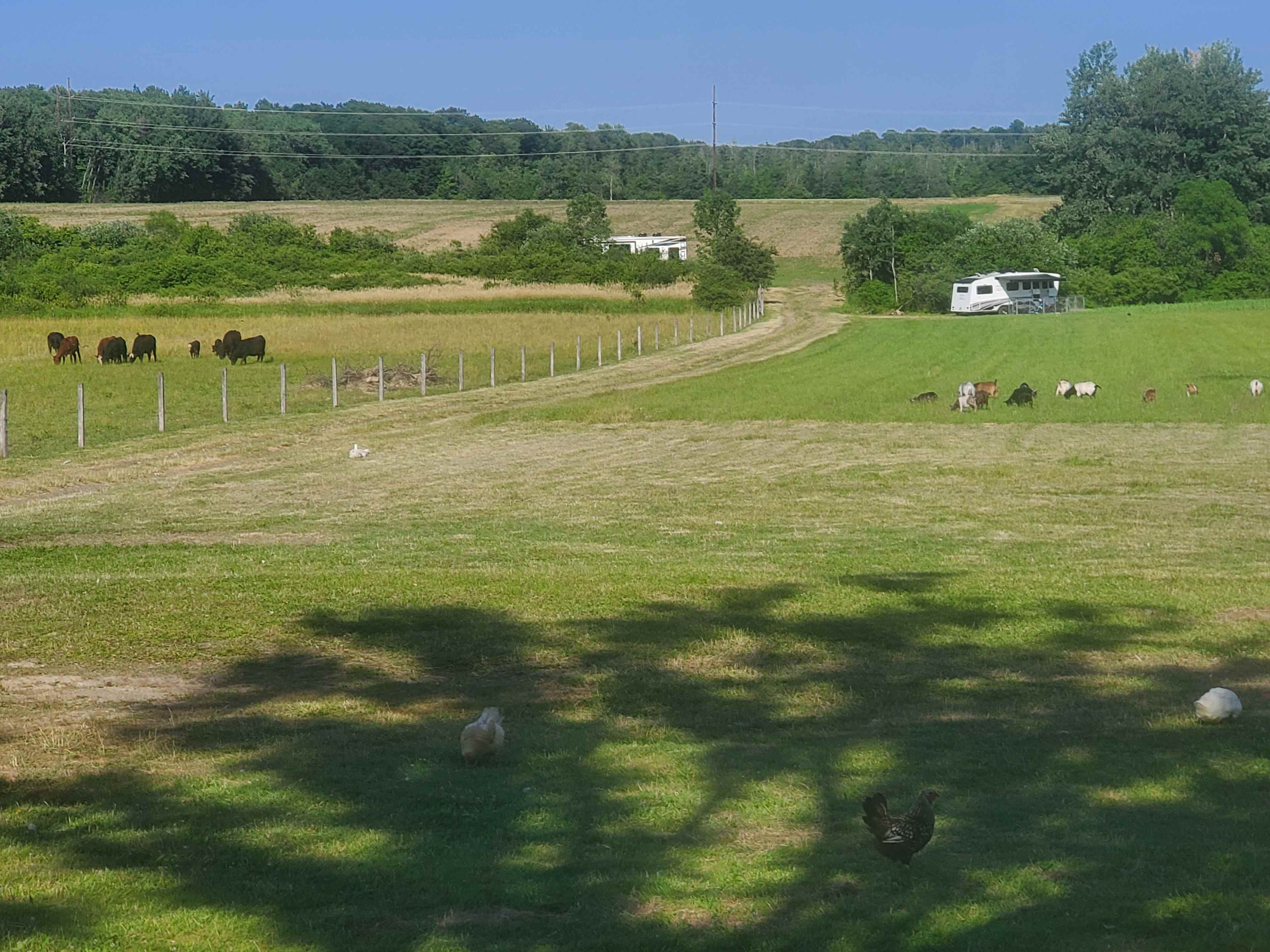 The Farm at Grand River