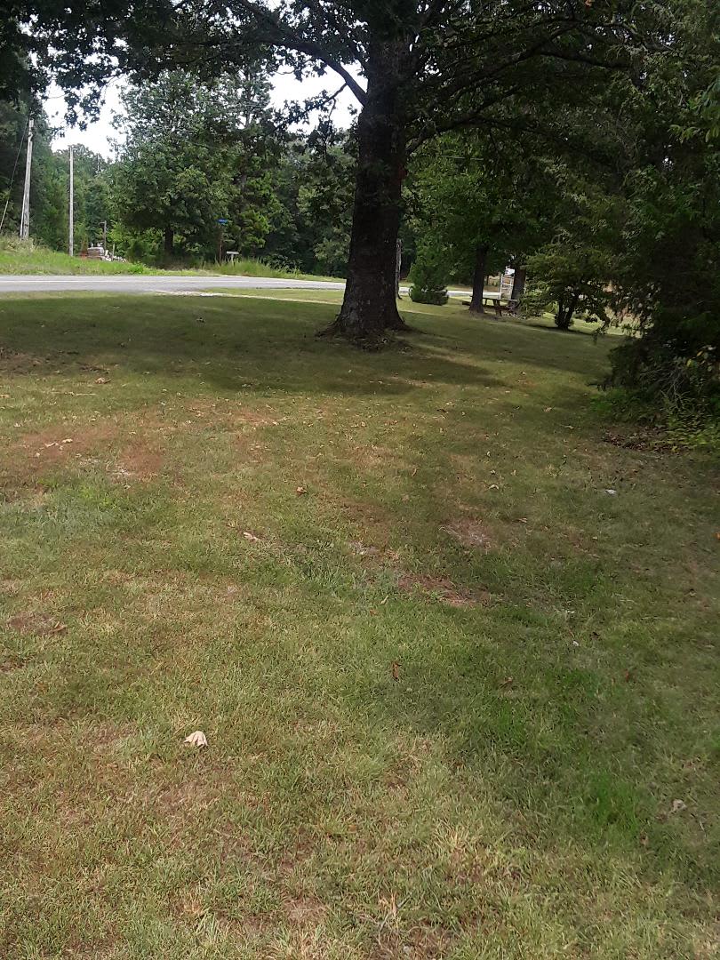 Ratchford Buffalo Farms RV Park