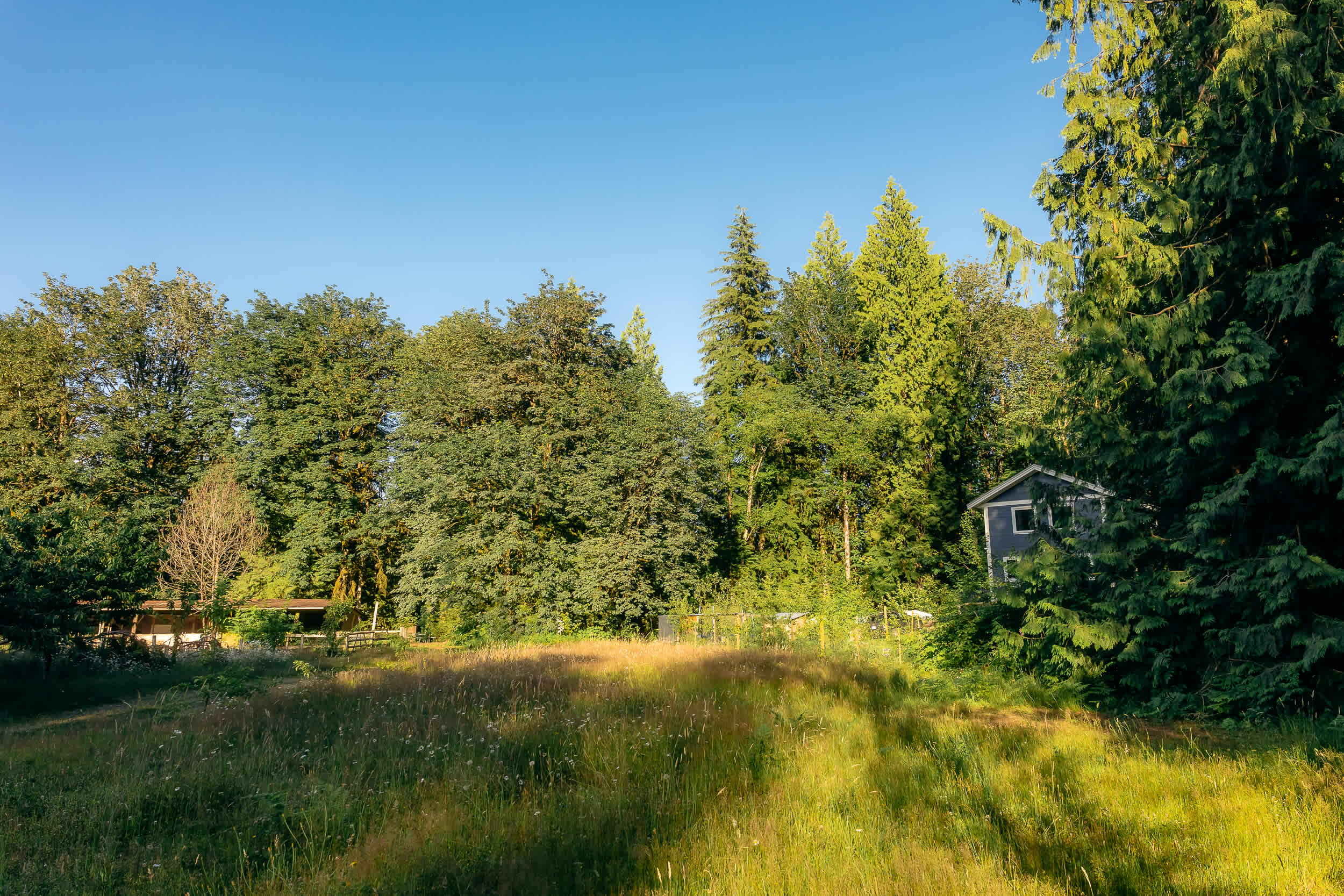Neighbouring properties