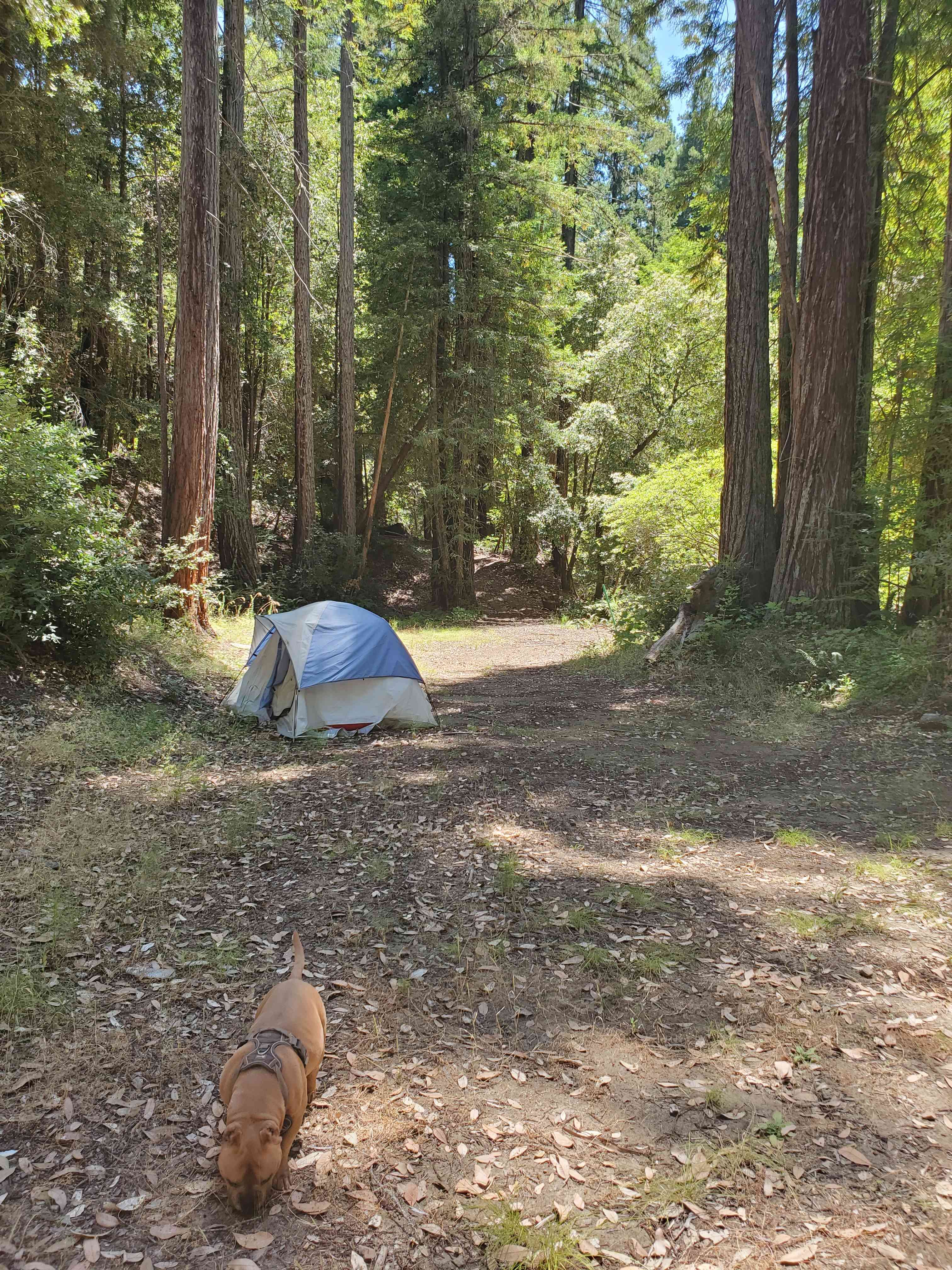 Mission Canyon
