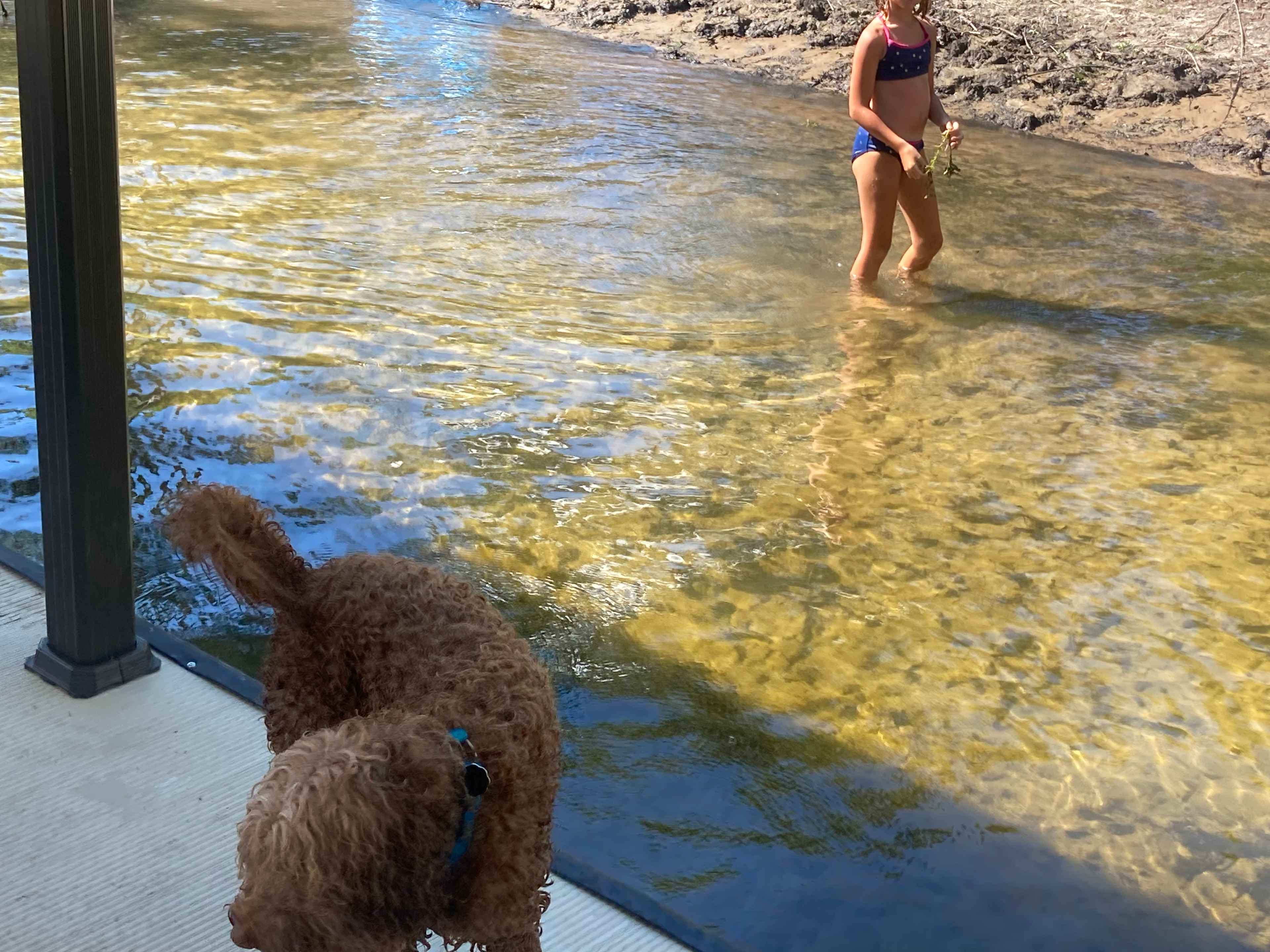 Shallow area between dock and shore for the little ones