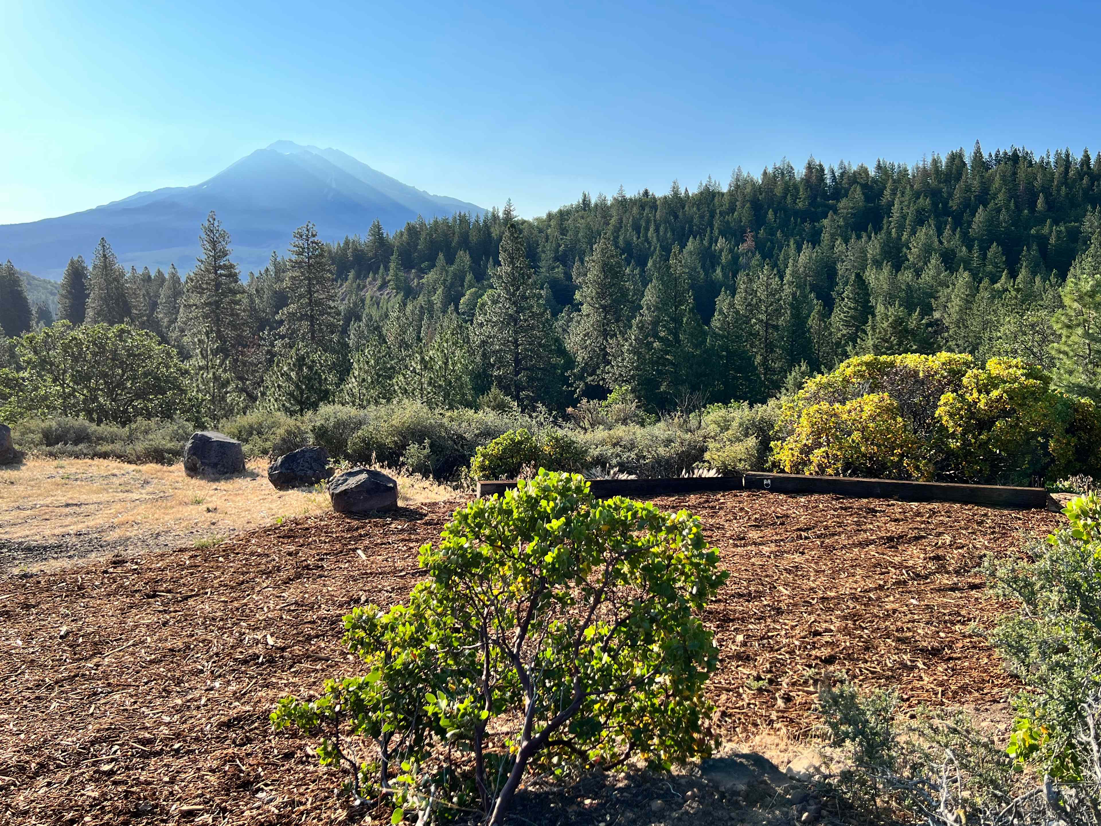 T5 Tent site on Chaparral Loop