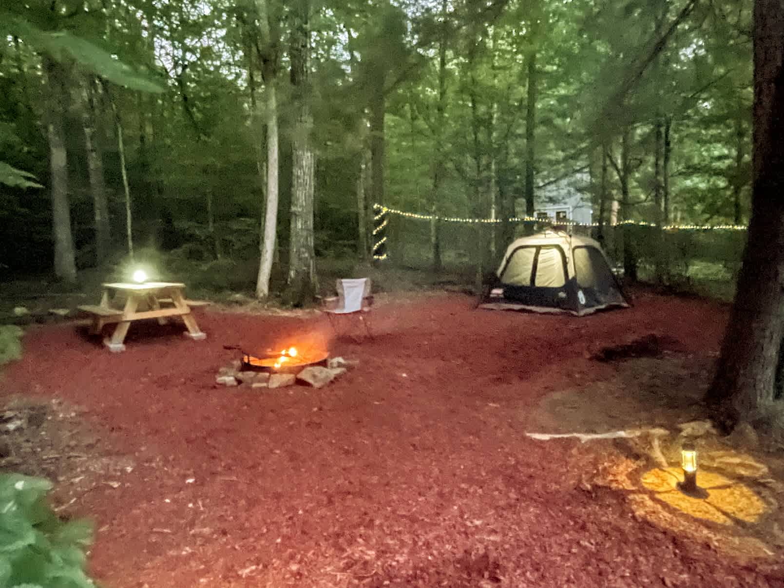 Private campsite w/ fire pit, picnic table and toilet