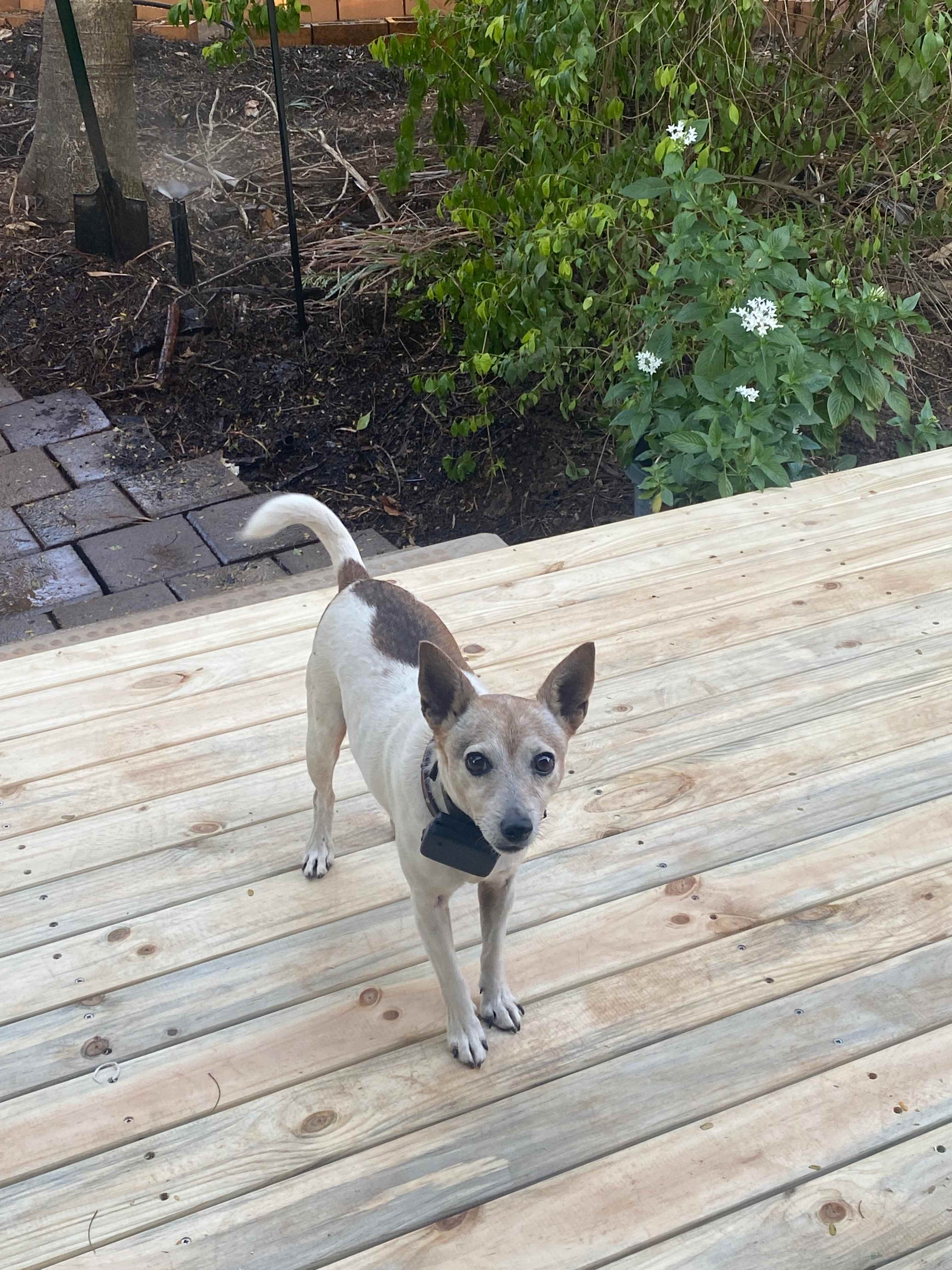Daisy owner of the Cabin and runs the show.