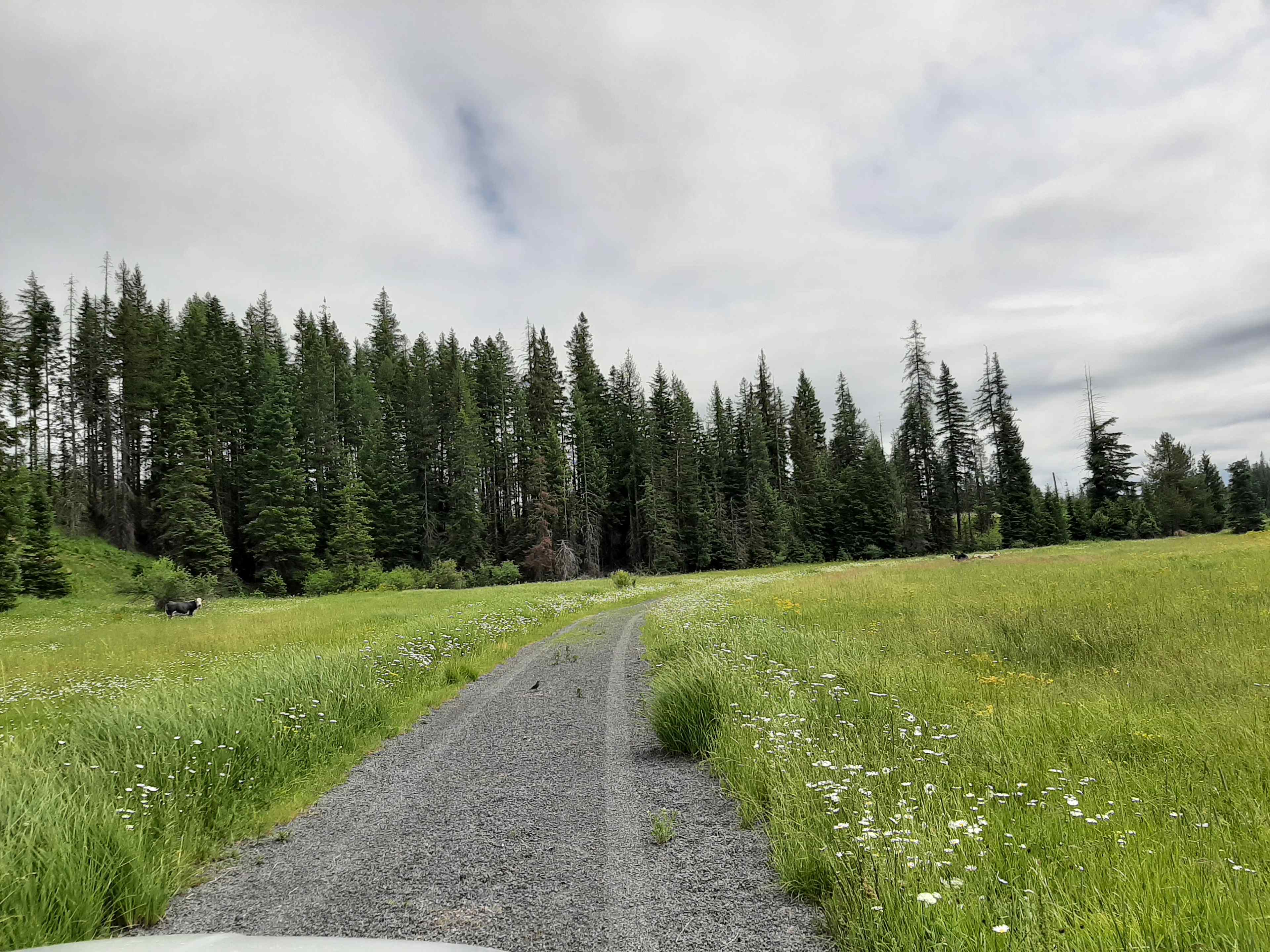 Butterfield Meadows road