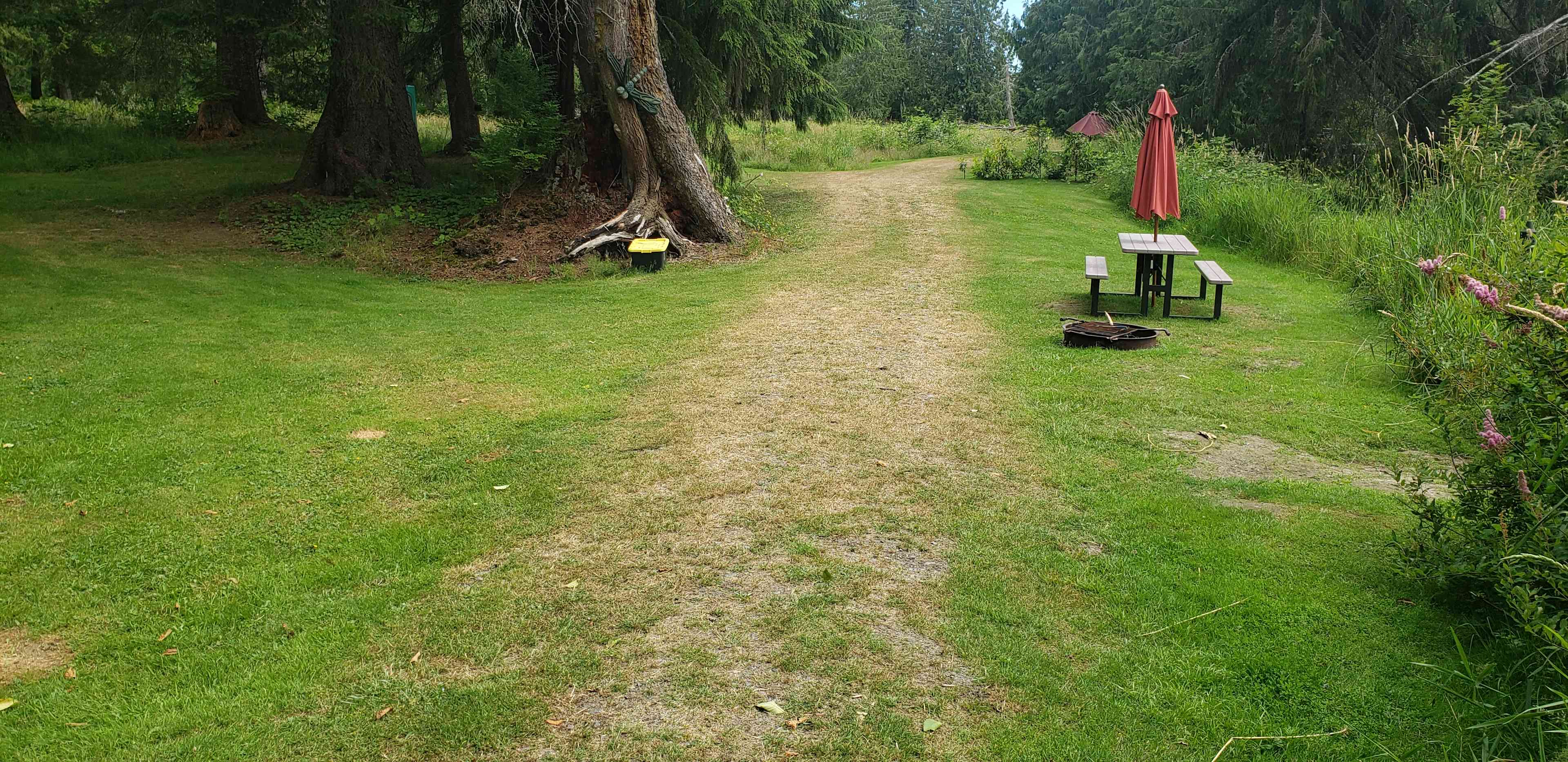 Dragonfly Campground