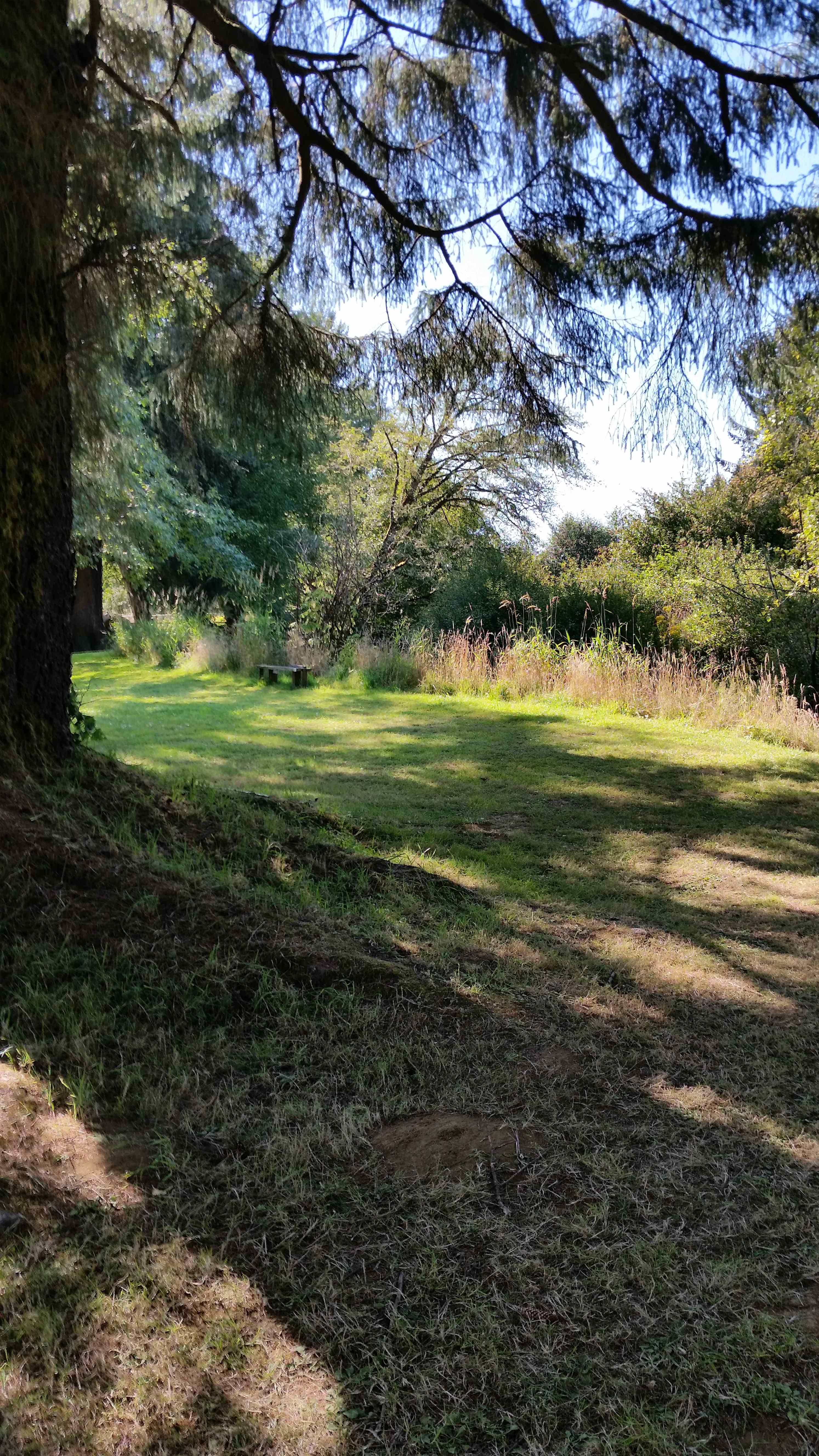 Williams Park campground