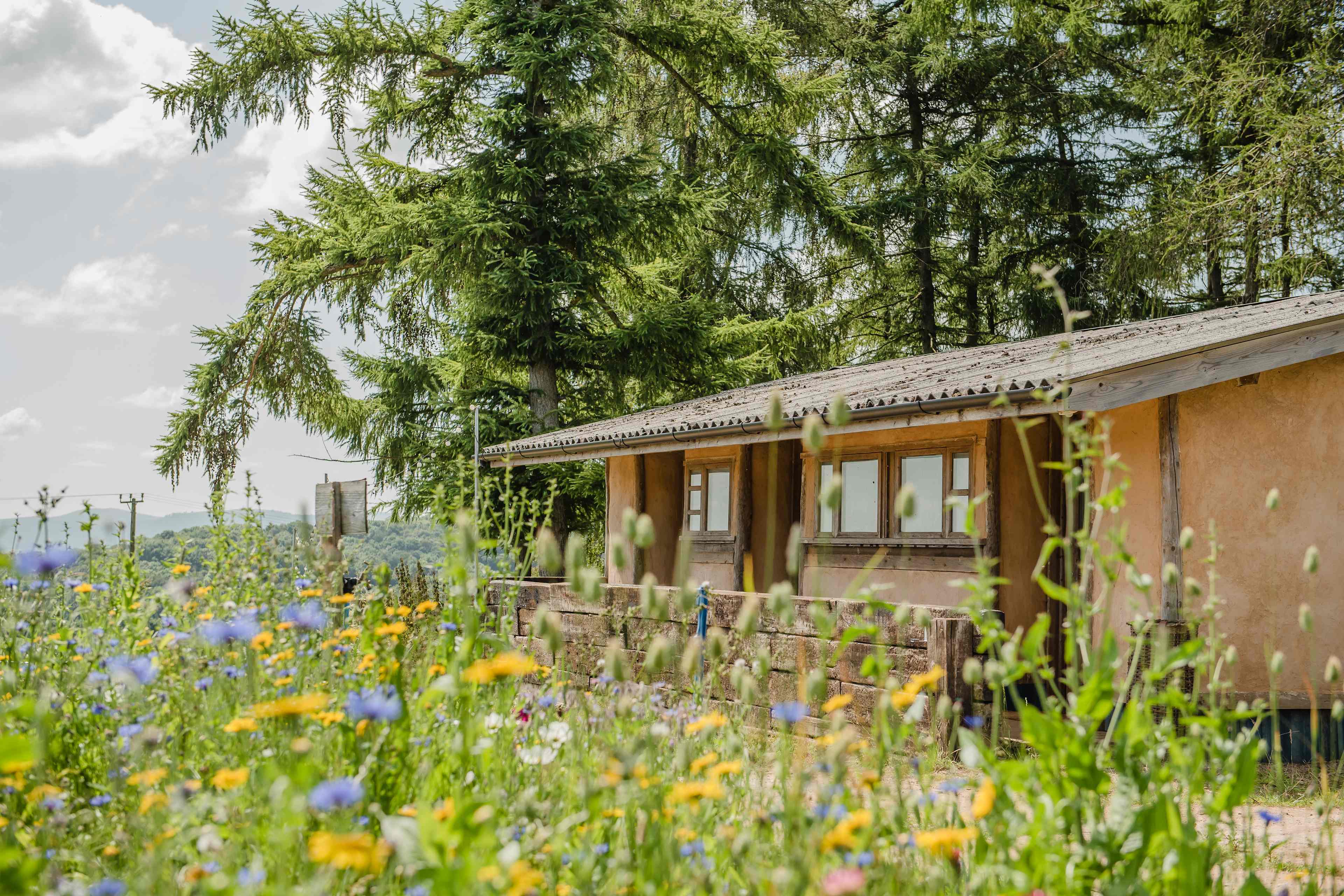 Our straw bale toilet and shower block.